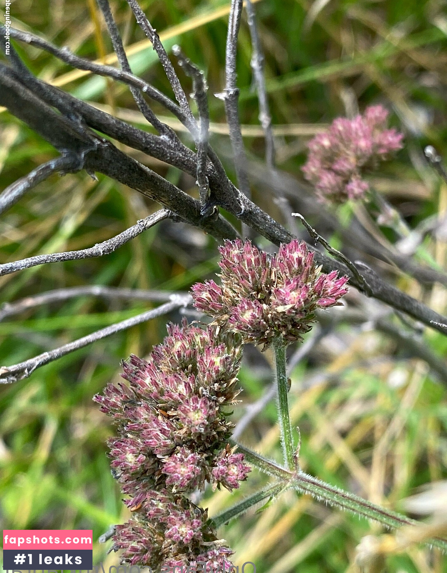 rukiabrat Nude Leaks OnlyFans Photos #20 - Fapshots