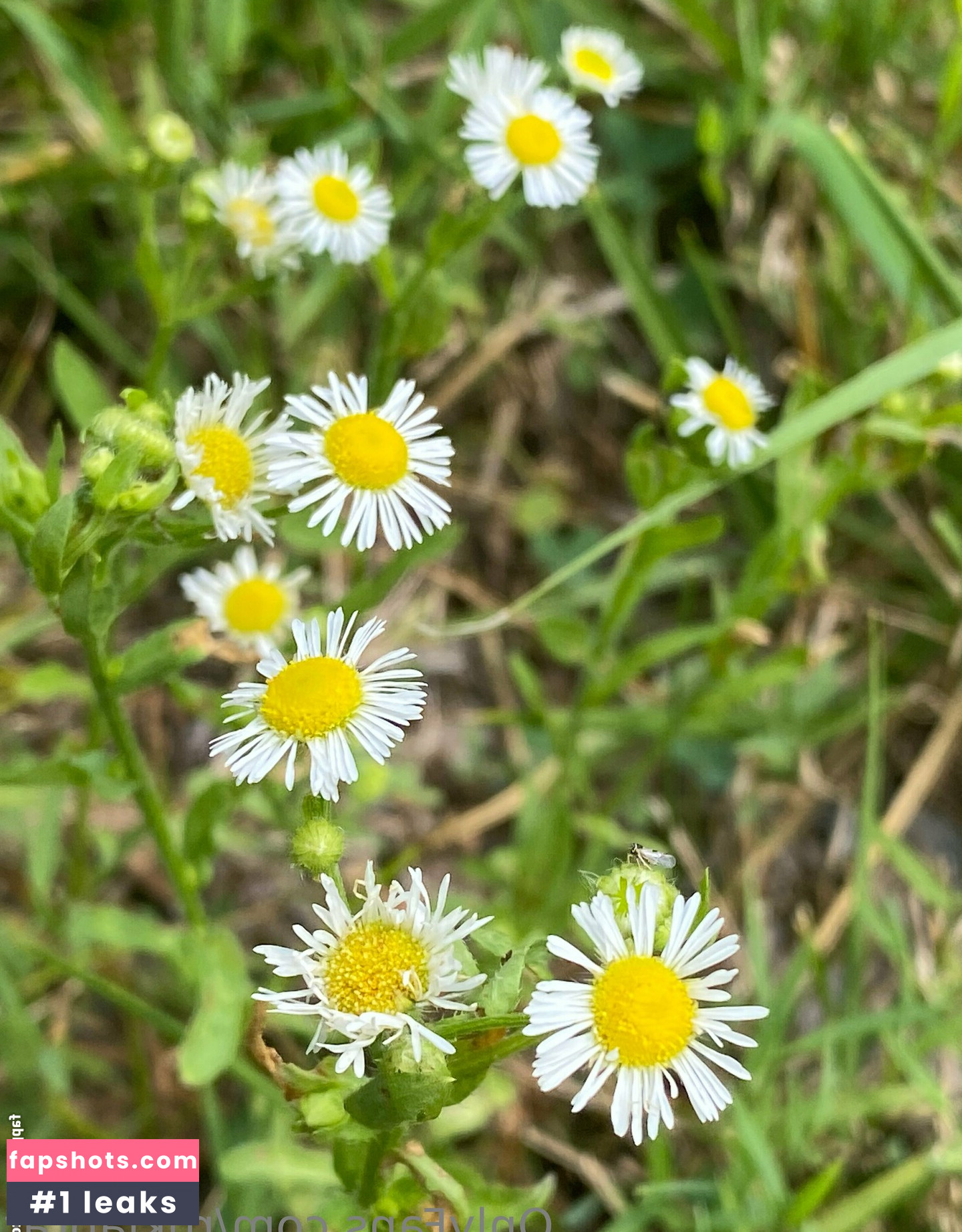 rukiabrat Nude Leaks OnlyFans Photos #21 - Fapshots