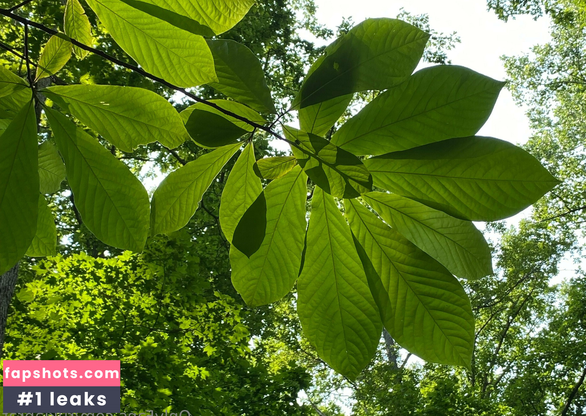 rukiabrat Nude Leaks OnlyFans Photos #24 - Fapshots