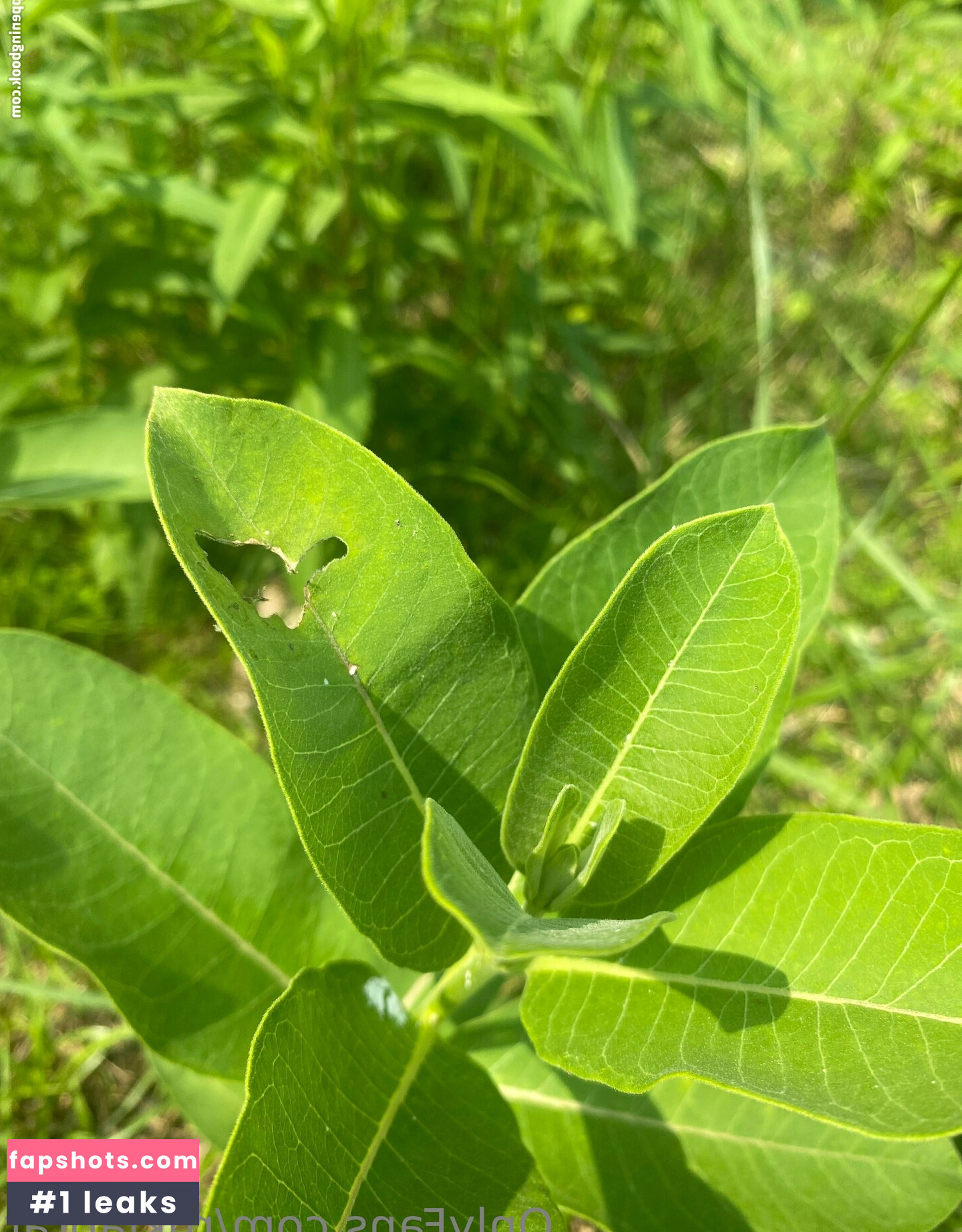 rukiabrat Nude Leaks OnlyFans Photos #25 - Fapshots