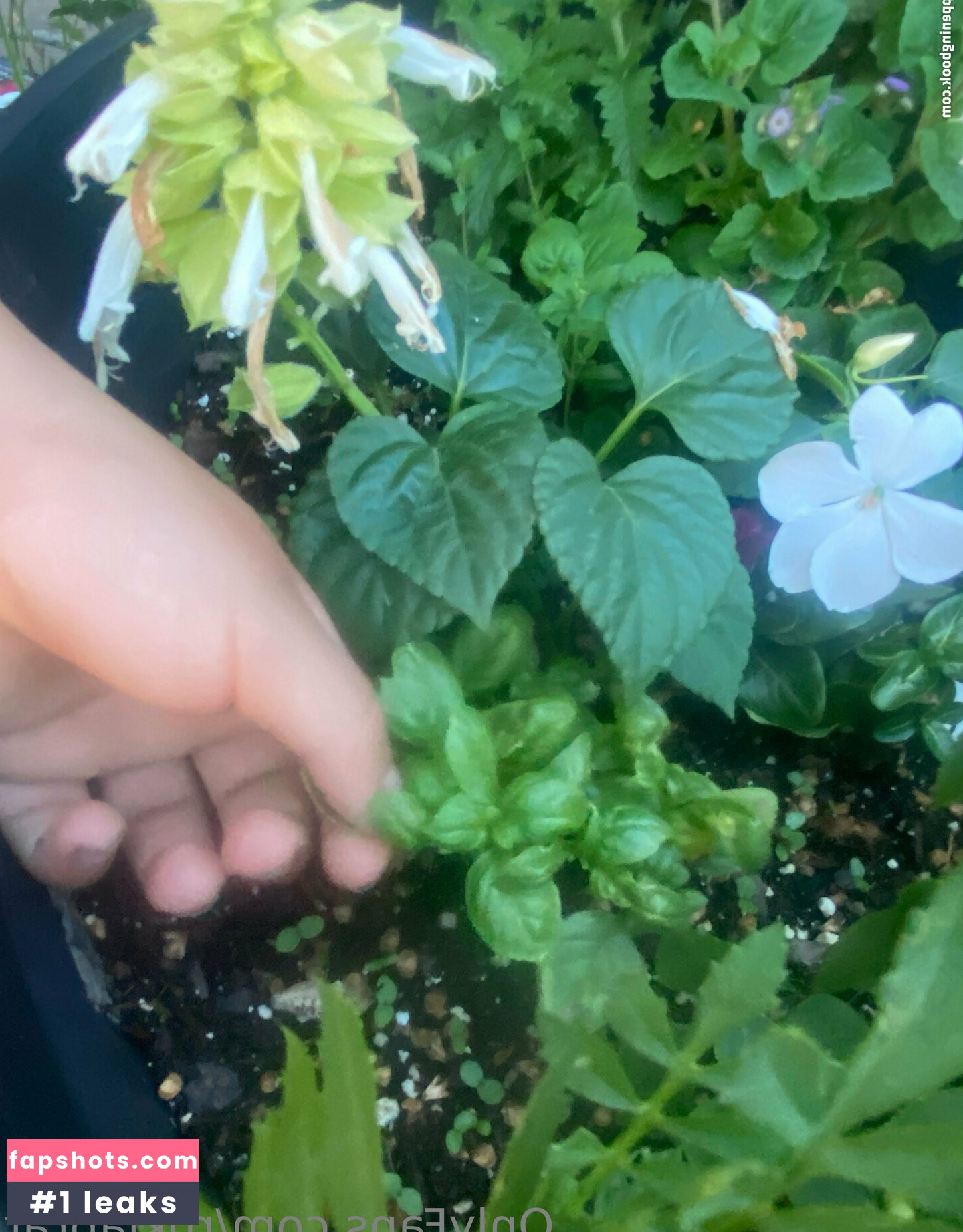 rukiabrat Nude Leaks OnlyFans Photos #31 - Fapshots