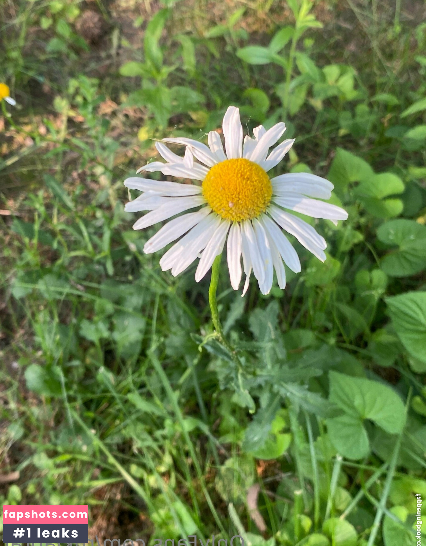 rukiabrat Nude Leaks OnlyFans Photos #33 - Fapshots