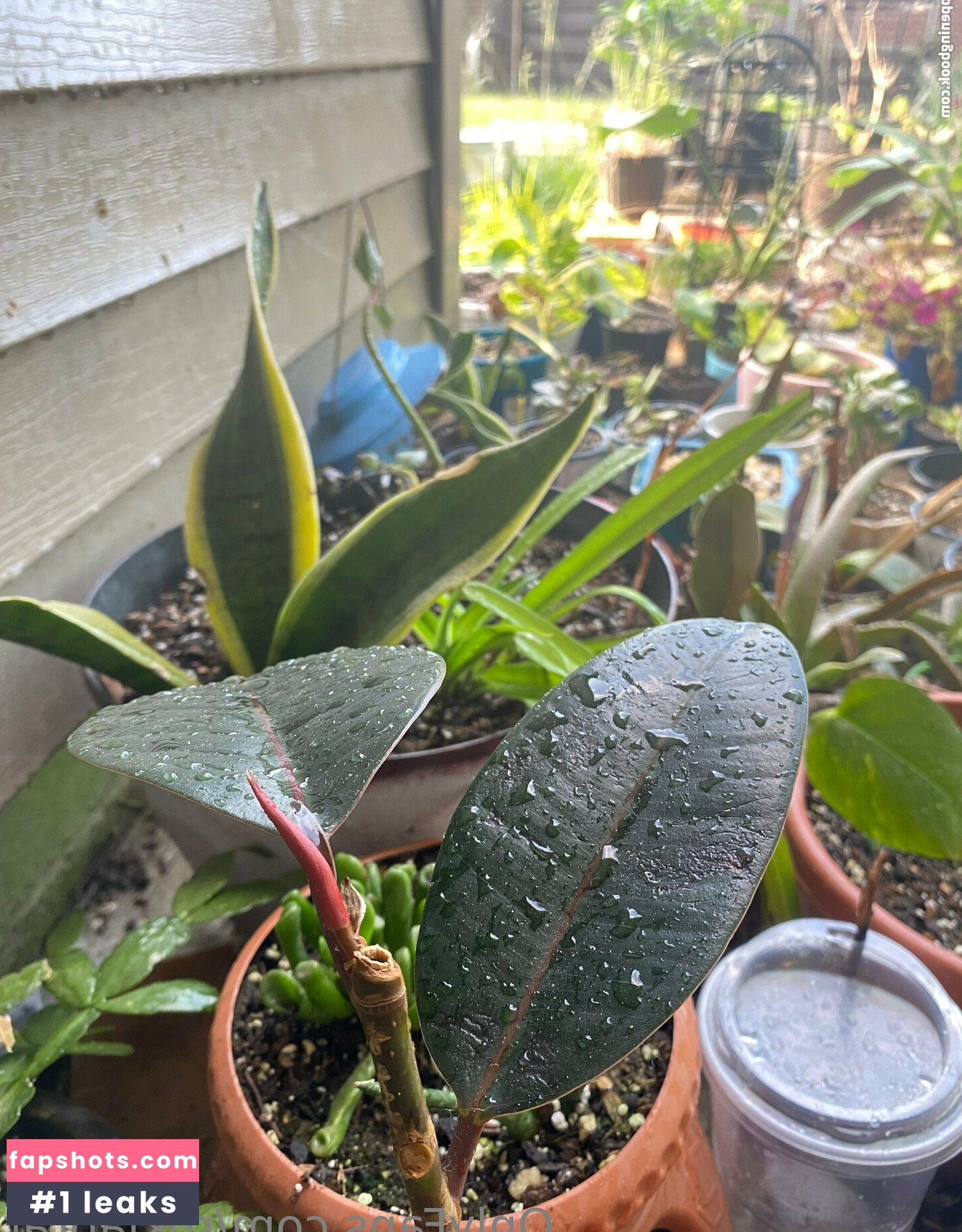 rukiabrat Nude Leaks OnlyFans Photos #38 - Fapshots