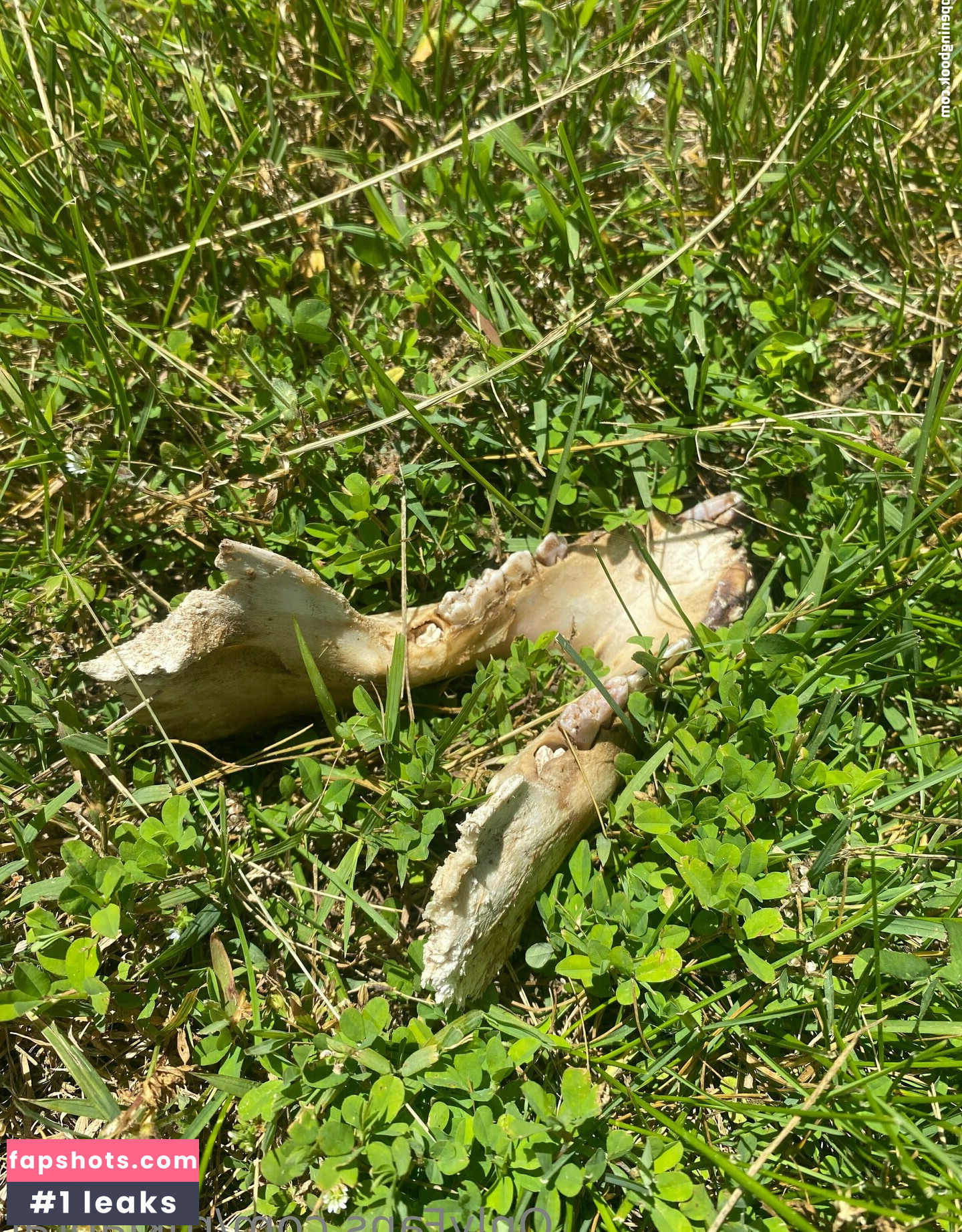 rukiabrat Nude Leaks OnlyFans Photos #41 - Fapshots