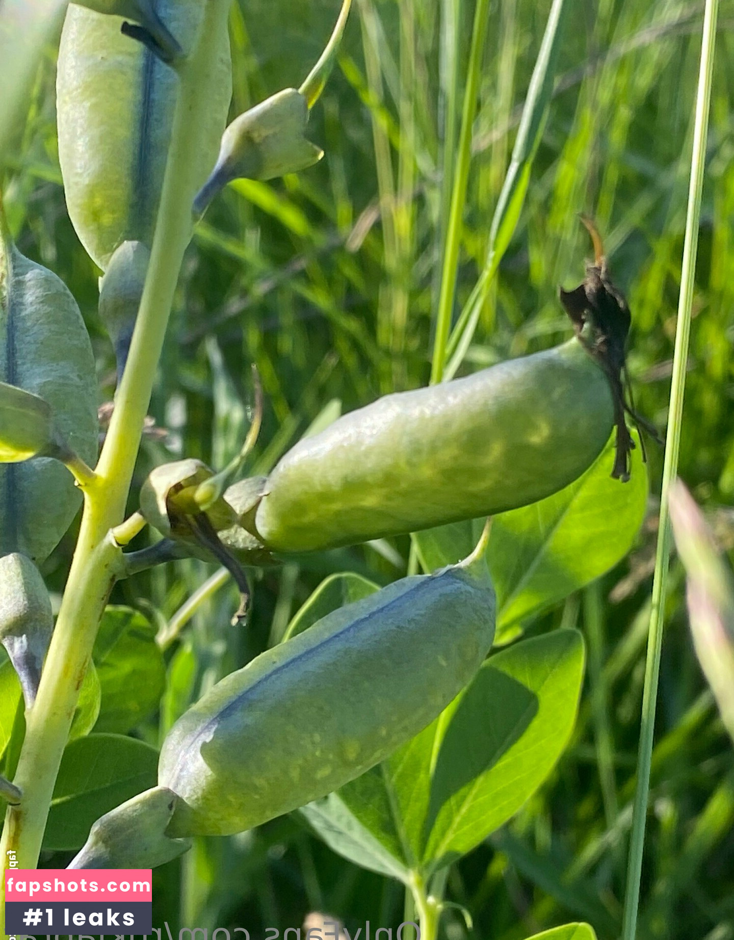 rukiabrat Nude Leaks OnlyFans Photos #44 - Fapshots