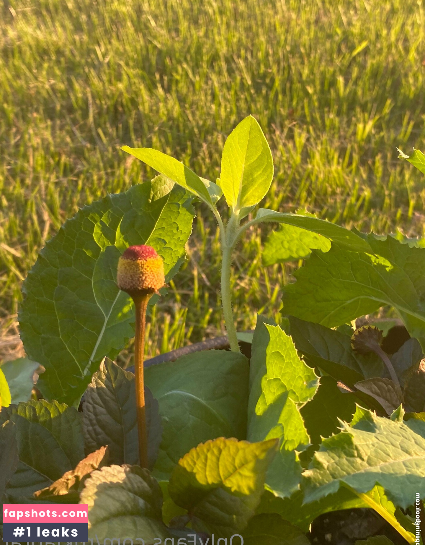 rukiabrat Nude Leaks OnlyFans Photos #45 - Fapshots