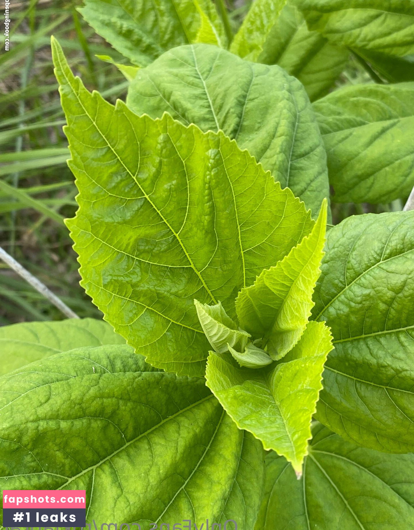 rukiabrat Nude Leaks OnlyFans Photos #46 - Fapshots