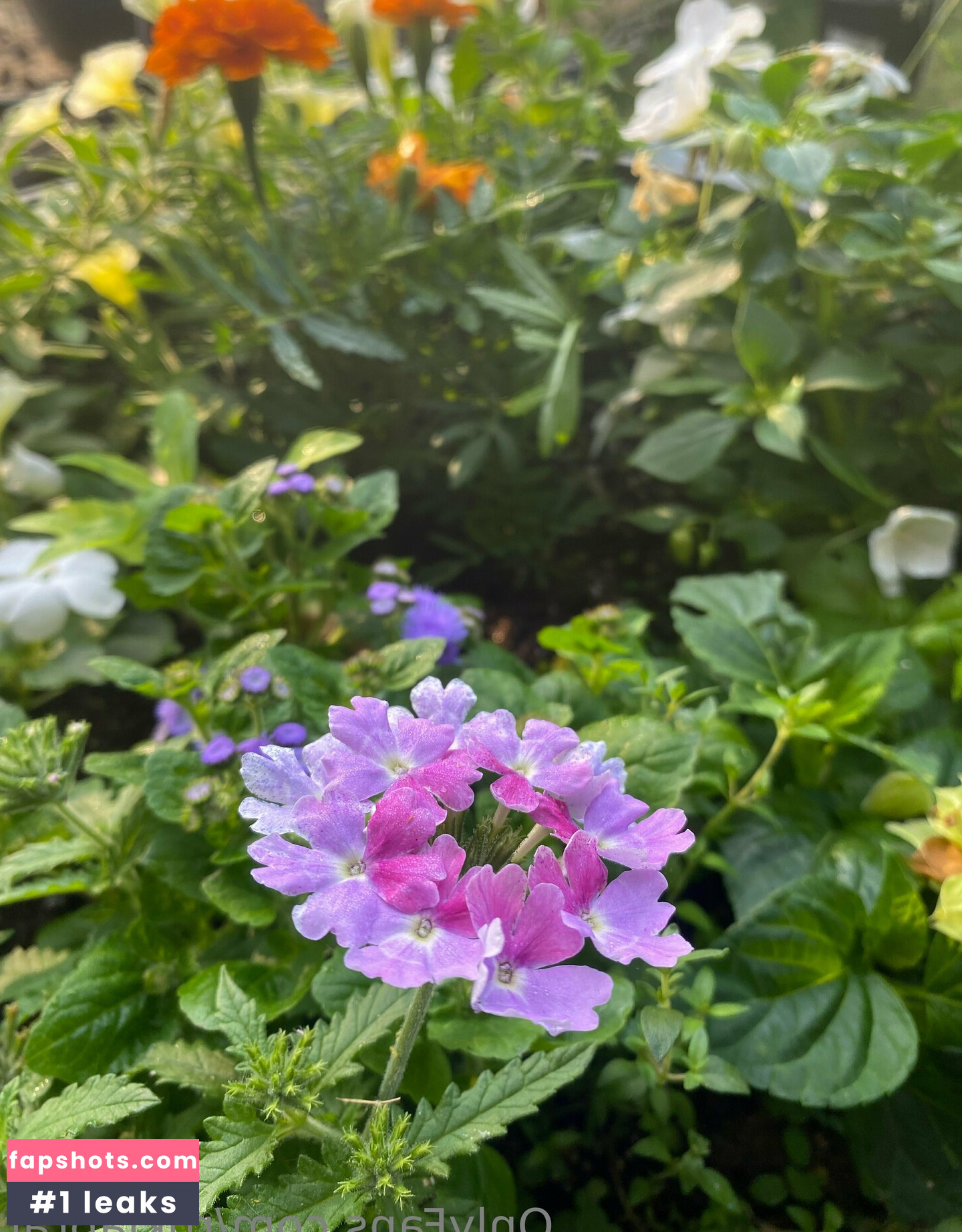 rukiabrat Nude Leaks OnlyFans Photos #48 - Fapshots