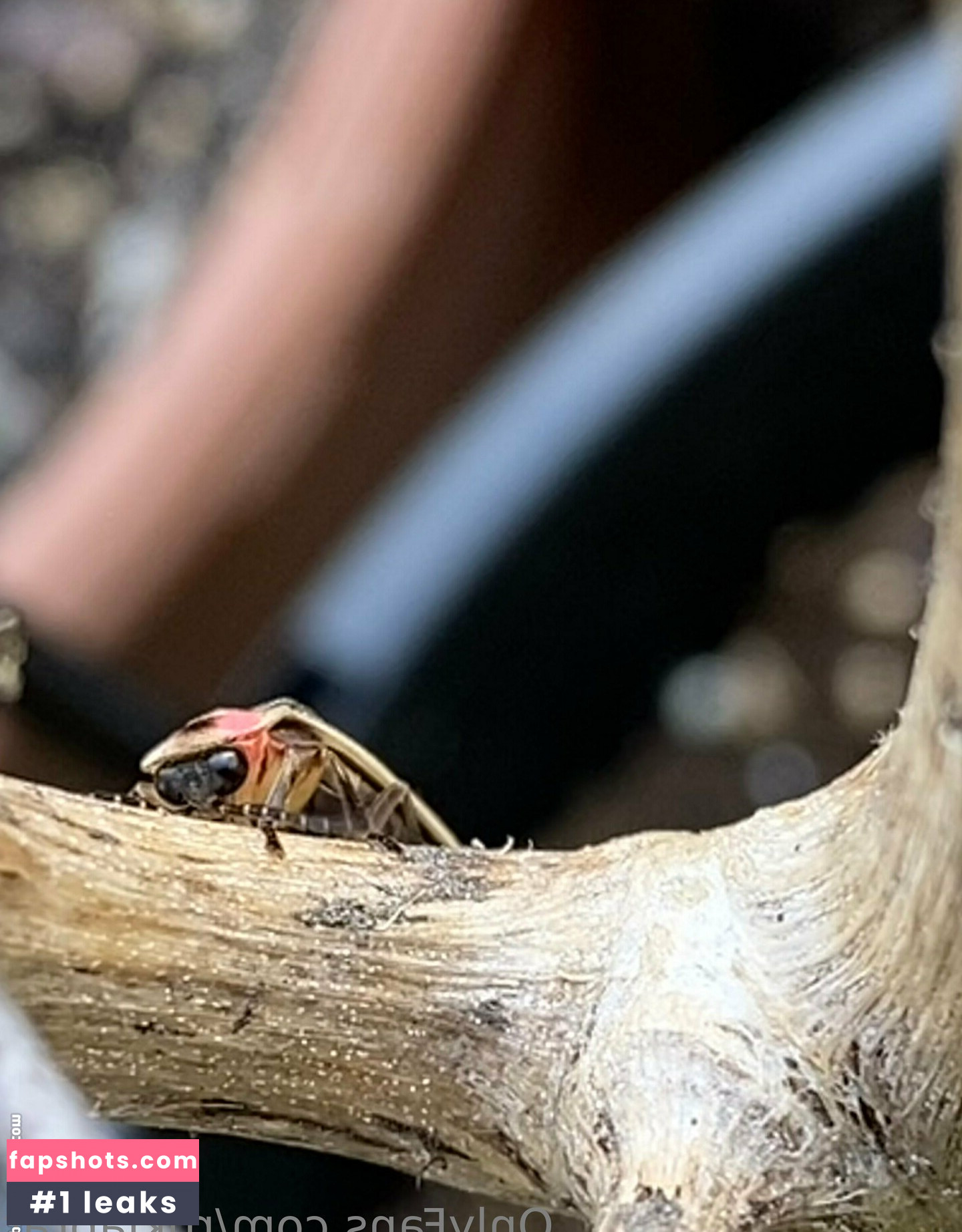 rukiabrat Nude Leaks OnlyFans Photos #6 - Fapshots