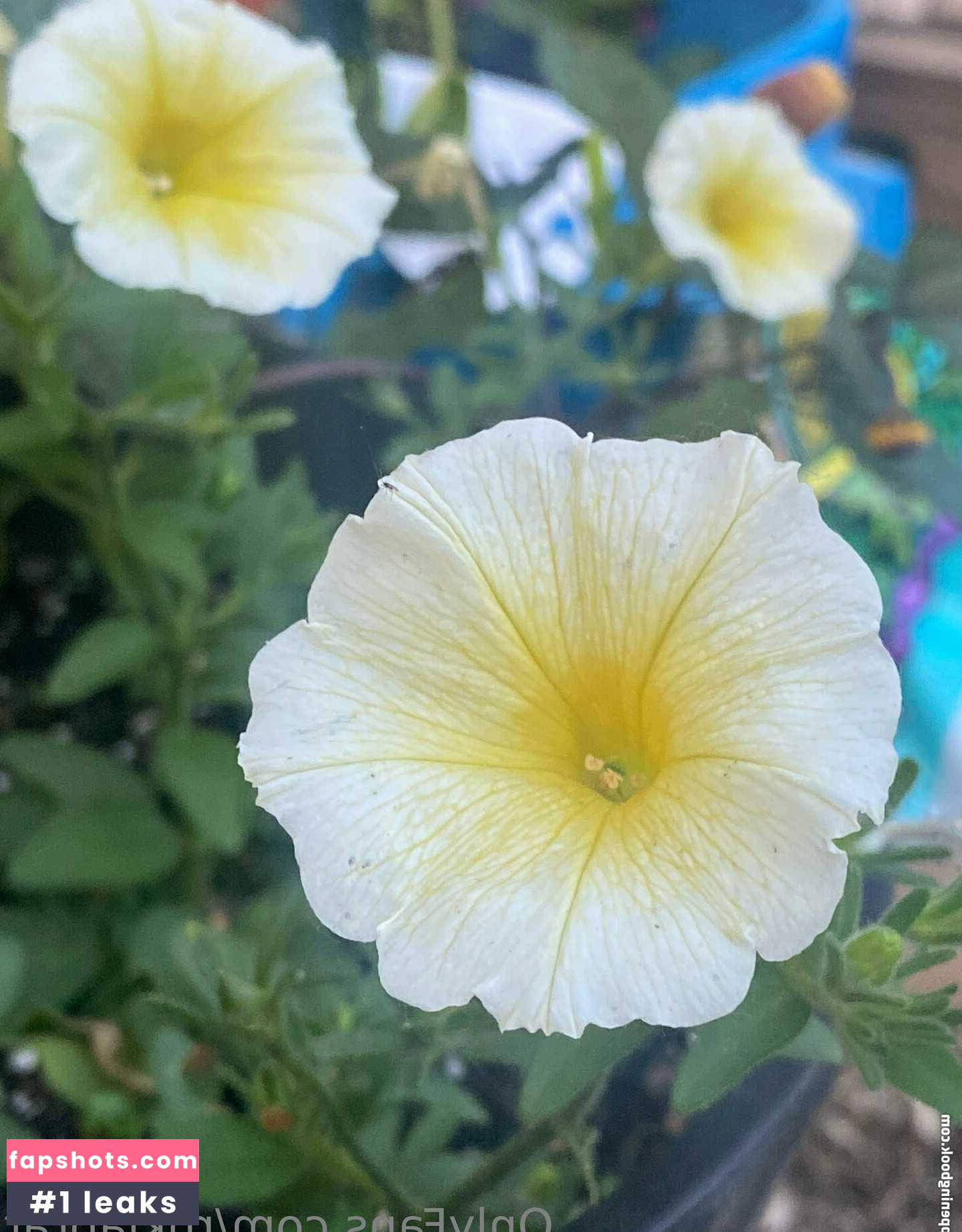 rukiabrat Nude Leaks OnlyFans Photos #51 - Fapshots