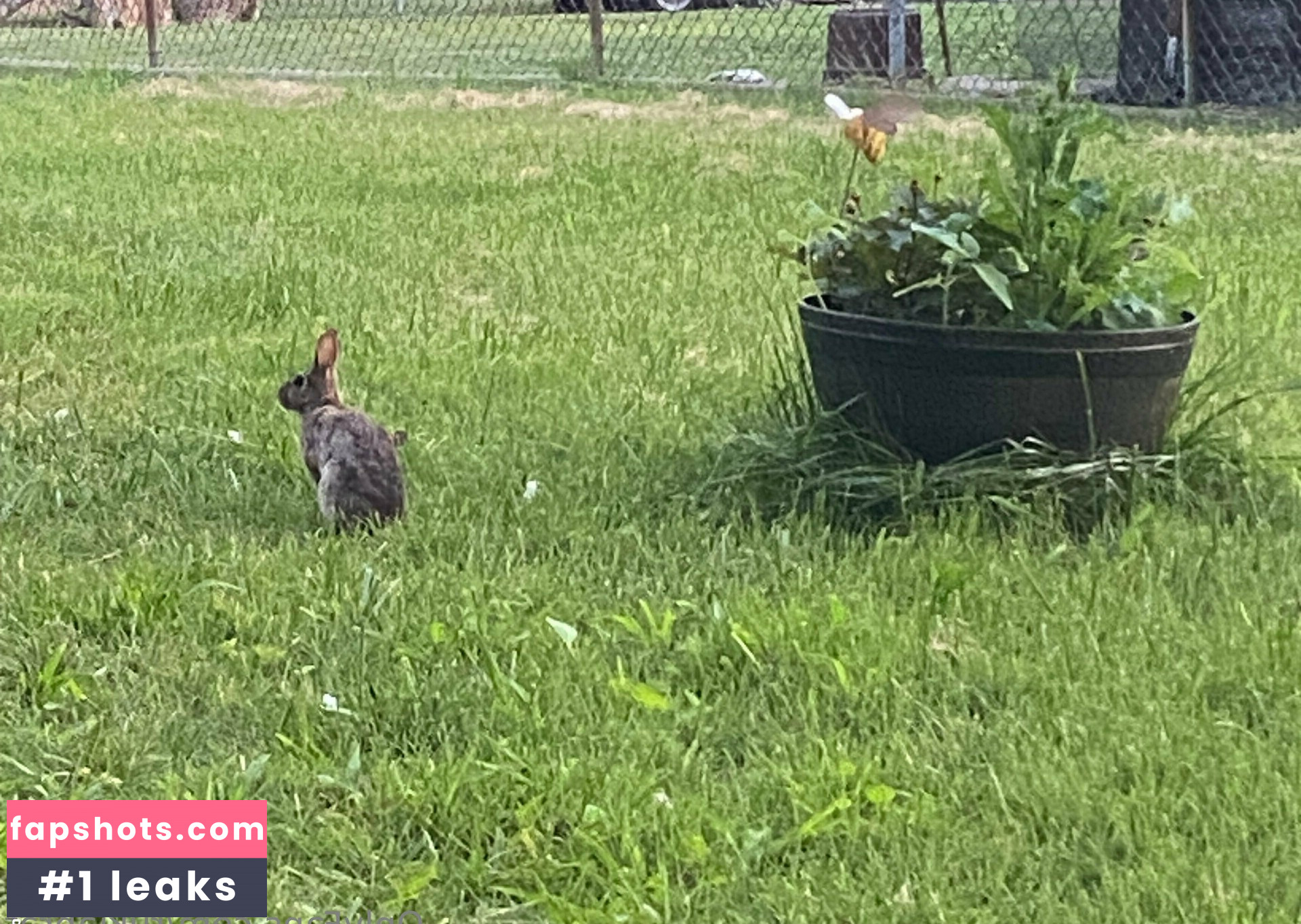 rukiabrat Nude Leaks OnlyFans Photos #53 - Fapshots