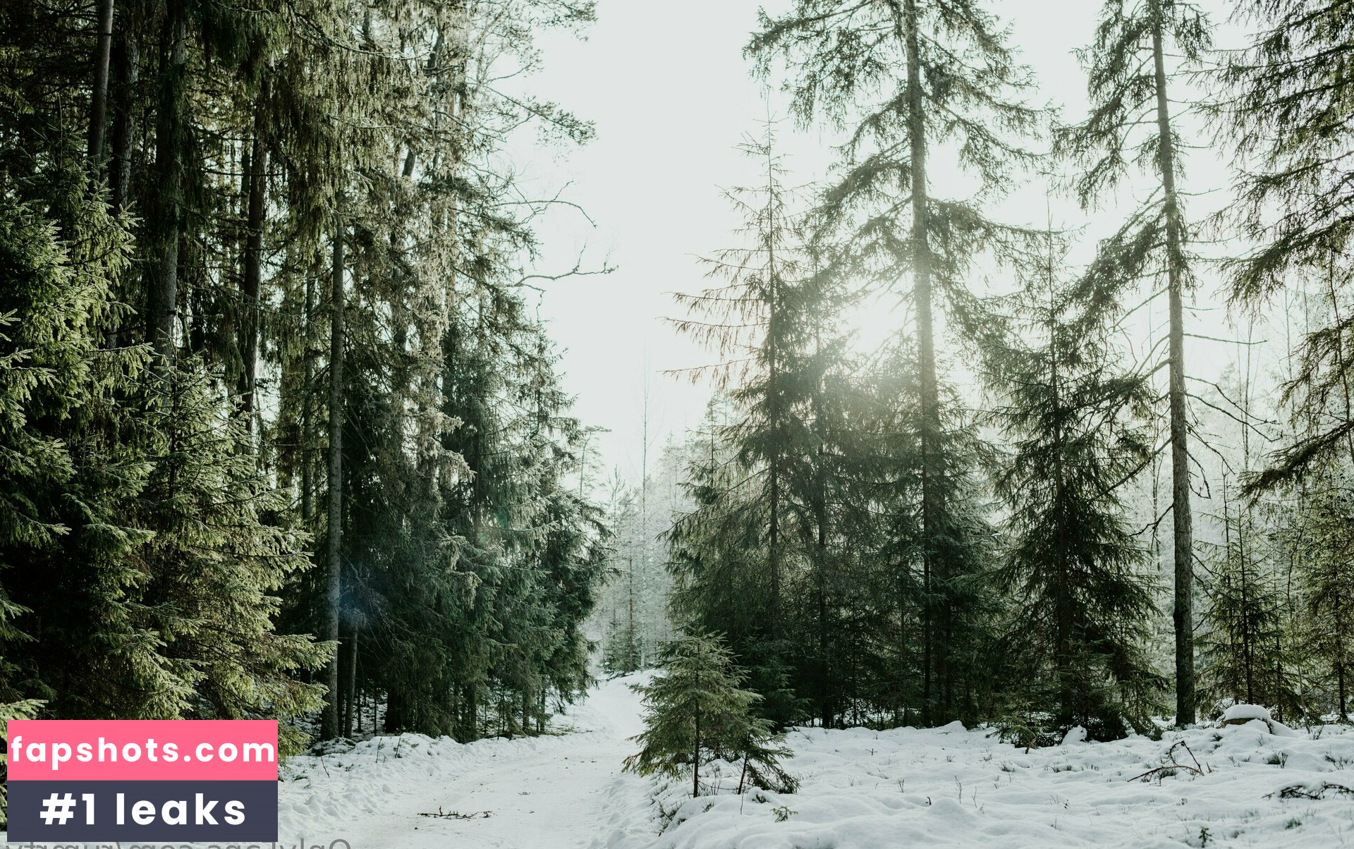 rumrtv gallery photo #4