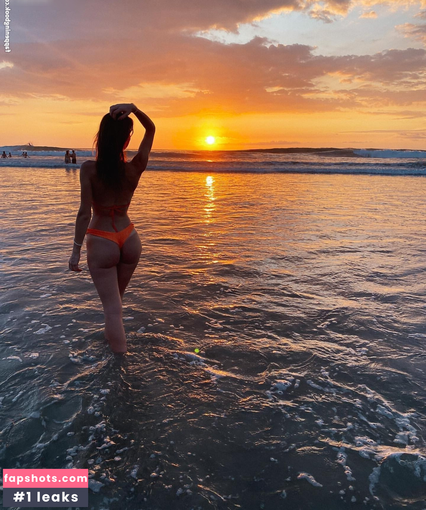 s_wtk gallery photo #10