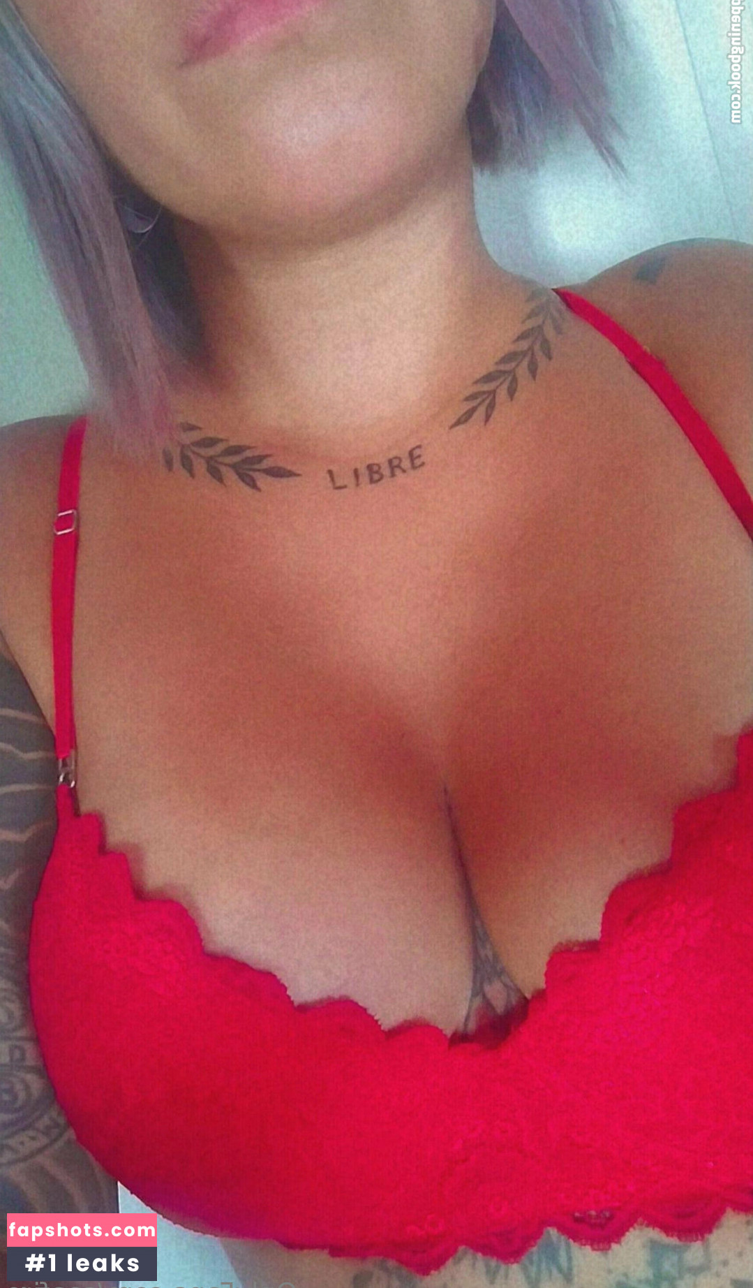 saafire gallery photo #7