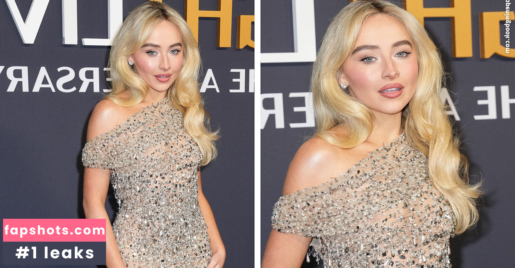 Sabrina Carpenter Filtración Desnuda OnlyFans Foto #221 - Fapshots