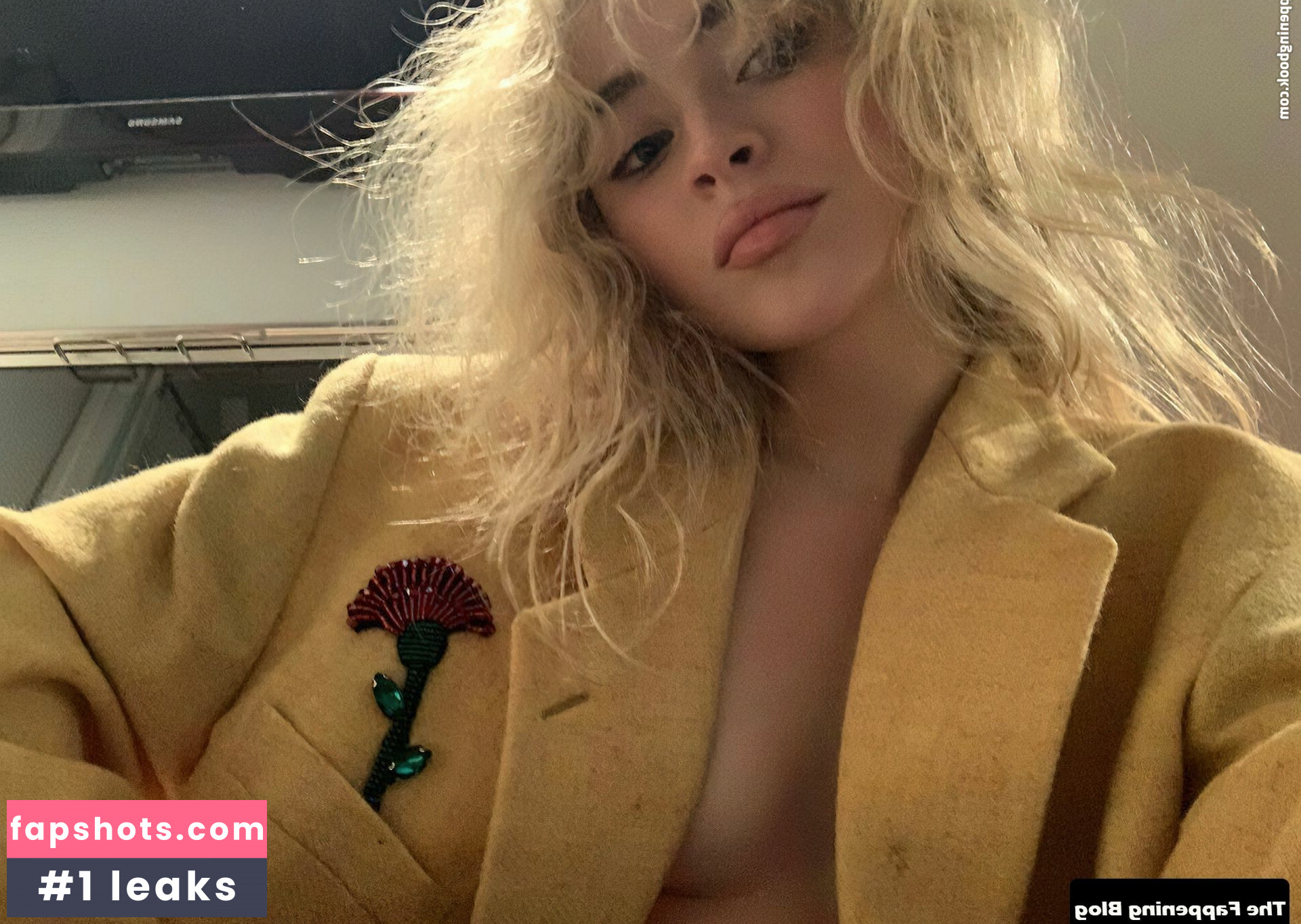 Sabrina Carpenter Filtración Desnuda OnlyFans Foto #2677 - Fapshots