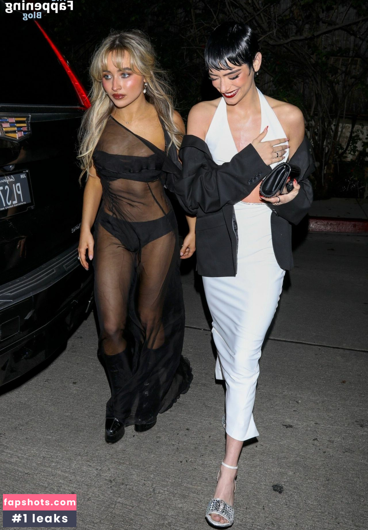 Sabrina Carpenter Filtración Desnuda OnlyFans Foto #2681 - Fapshots