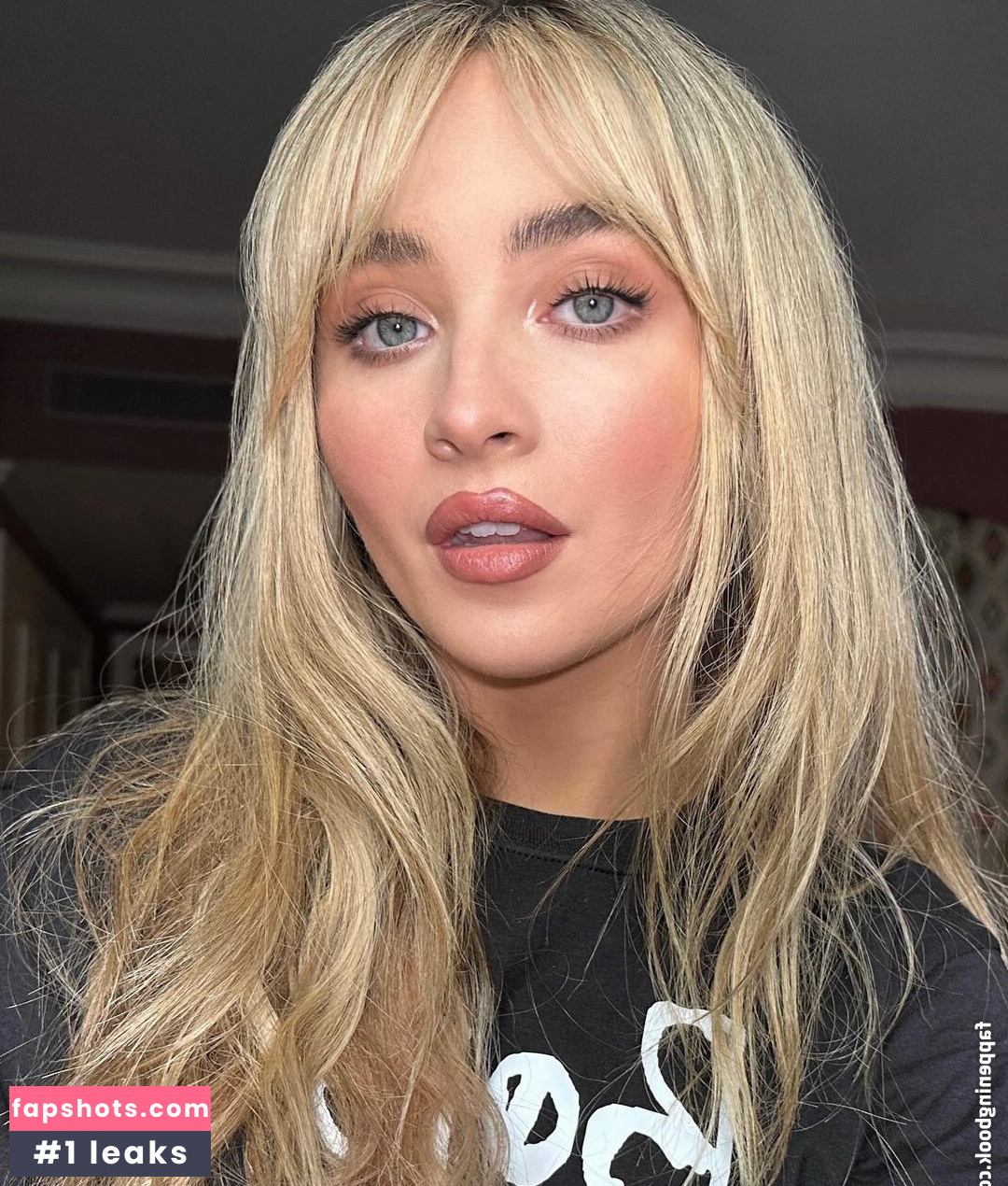 Sabrina Carpenter Filtración Desnuda OnlyFans Foto #2858 - Fapshots