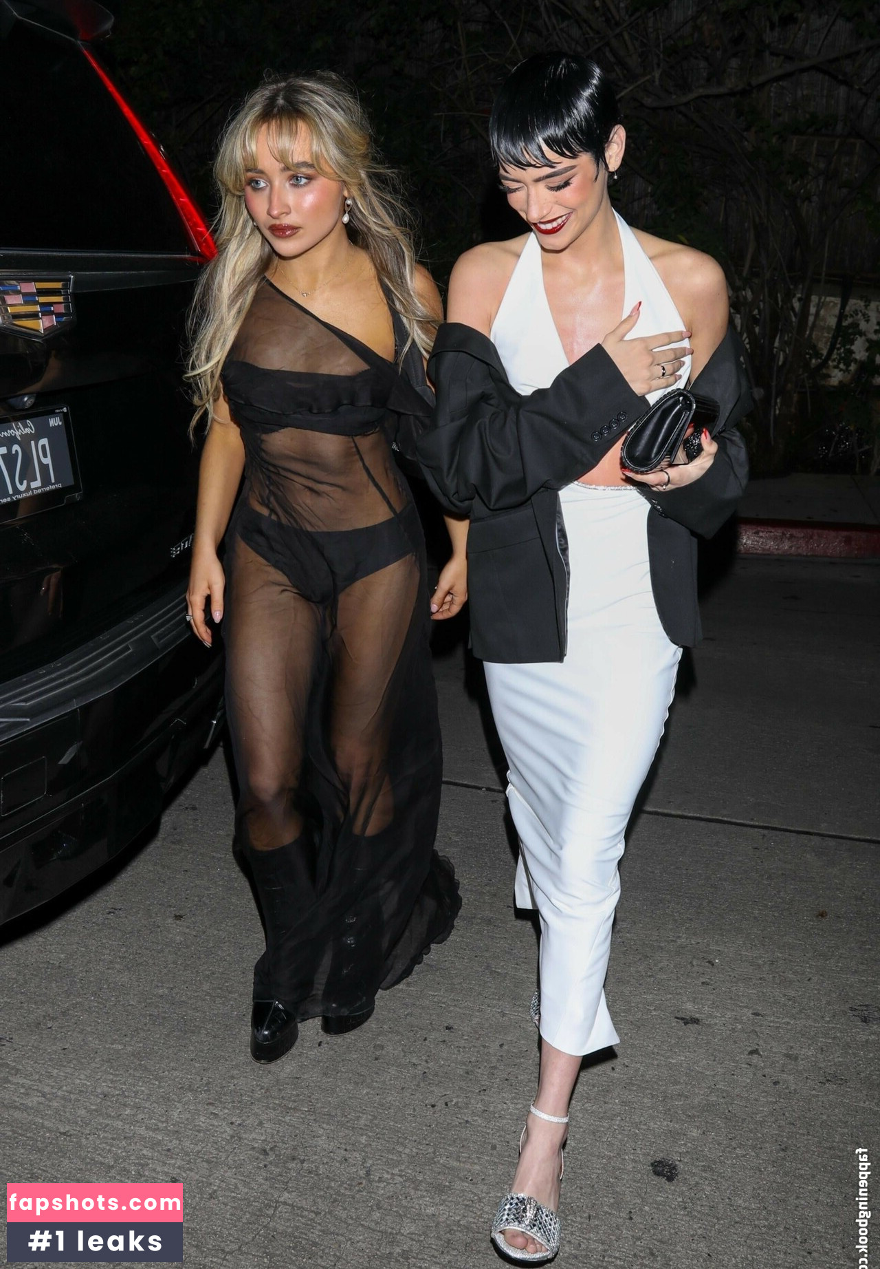 Sabrina Carpenter Nahé úniky fotek pouze od fanoušků #3048 - Fapshots