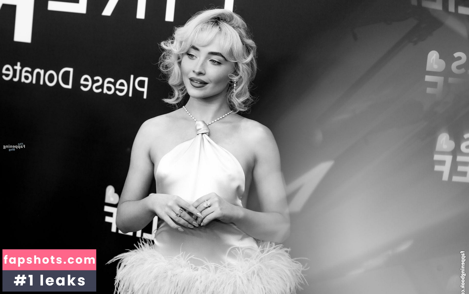 Sabrina Carpenter Filtración Desnuda OnlyFans Foto #457 - Fapshots