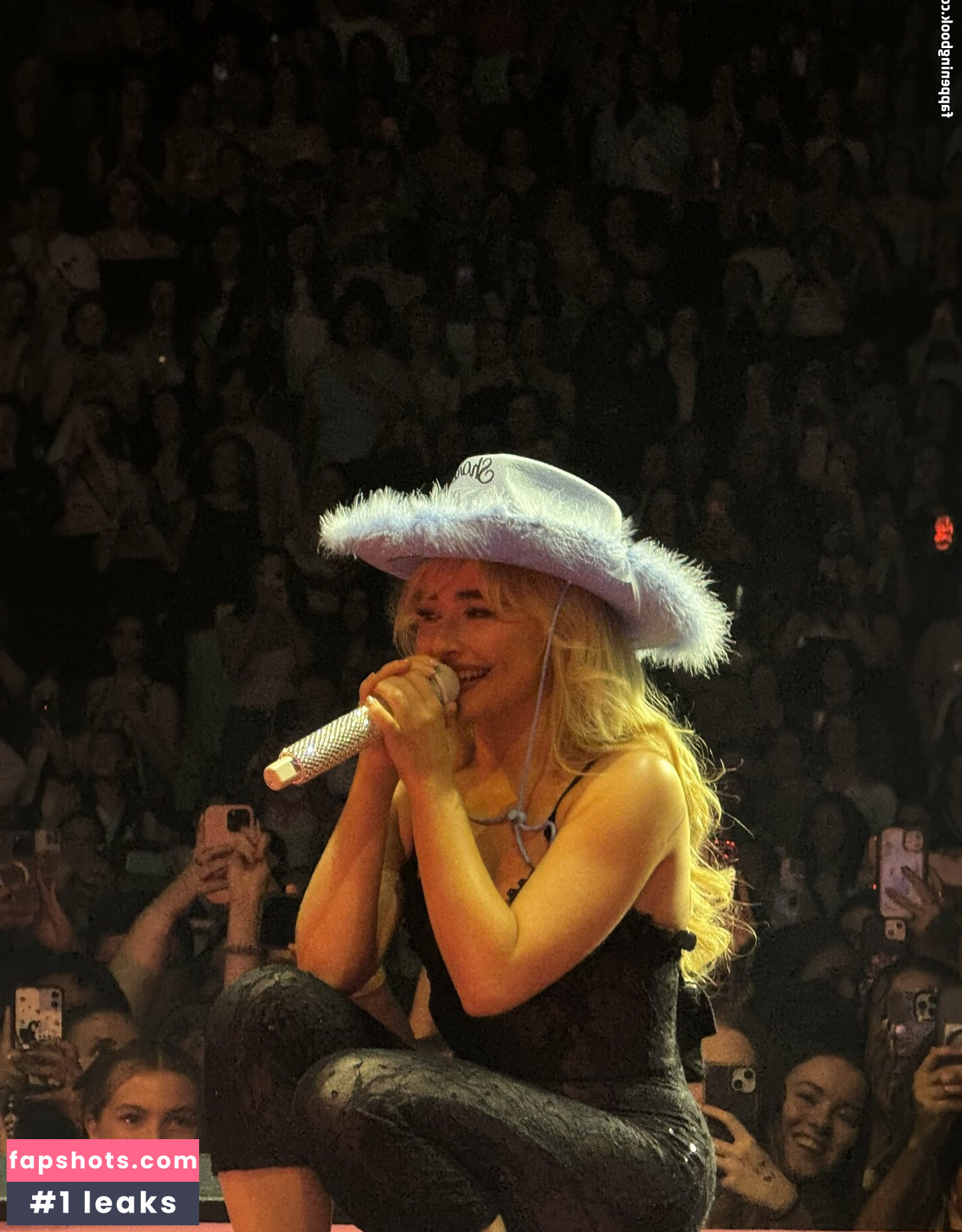 Sabrina Carpenter Filtración Desnuda OnlyFans Foto #720 - Fapshots