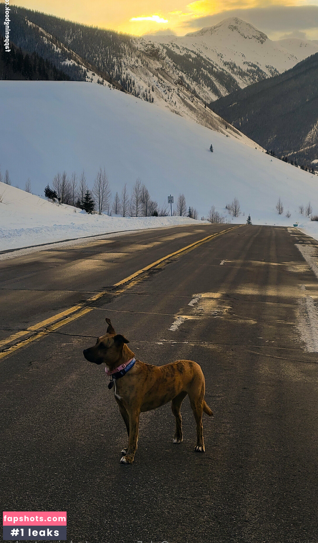 sabrinastanley gallery photo #13