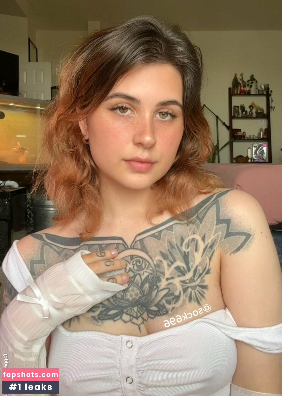 Sagenova6 gallery photo #8