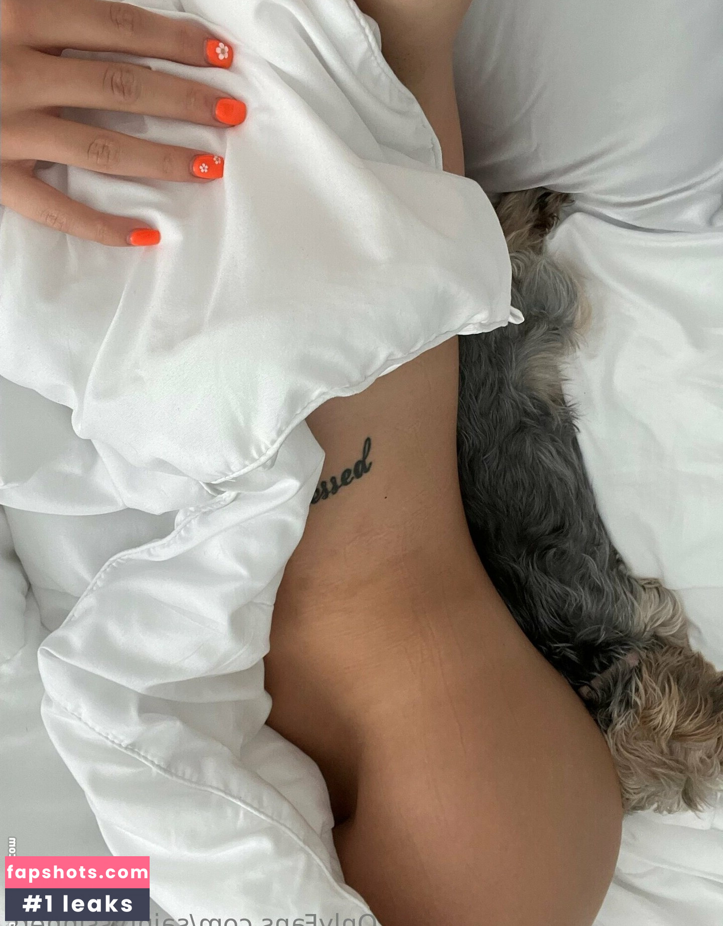 saintvssinners gallery photo #22