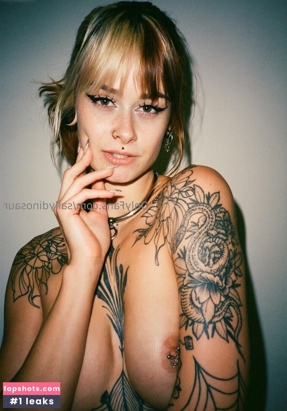 Sallydinosaur Nude Leaks OnlyFans Photos #46 - Fapshots