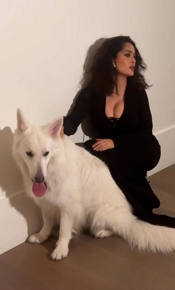 salma-hayek gallery photo #1178