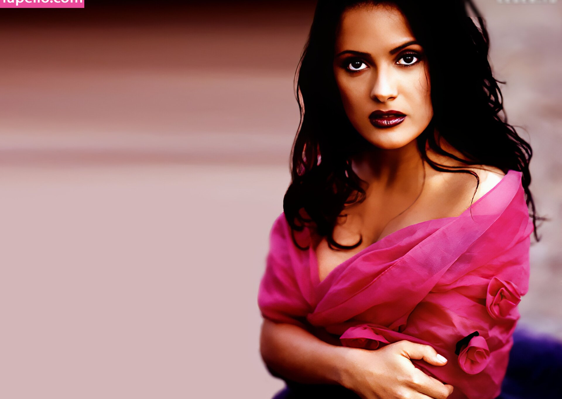 salma-hayek gallery photo #1377