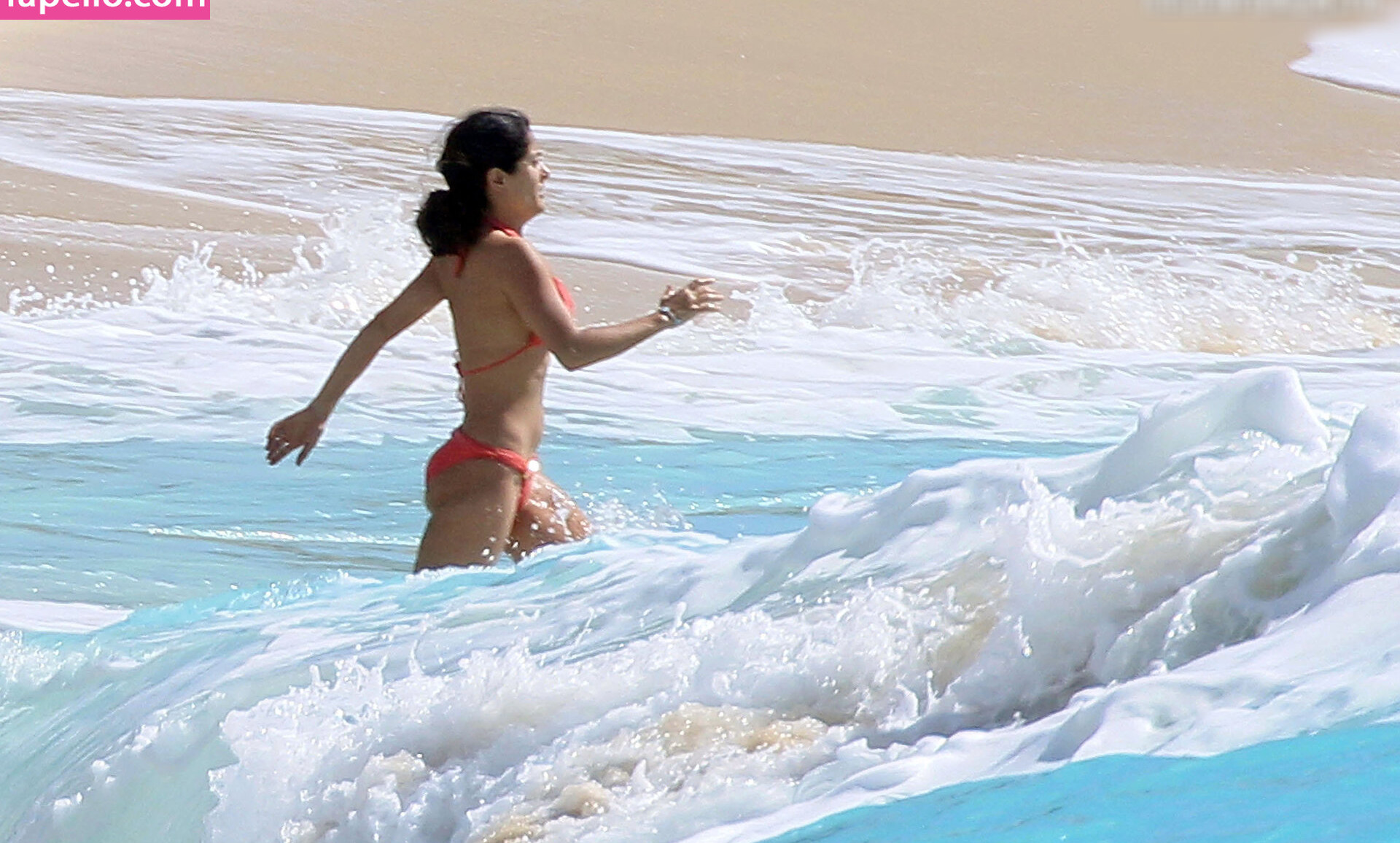 salma-hayek gallery photo #1490