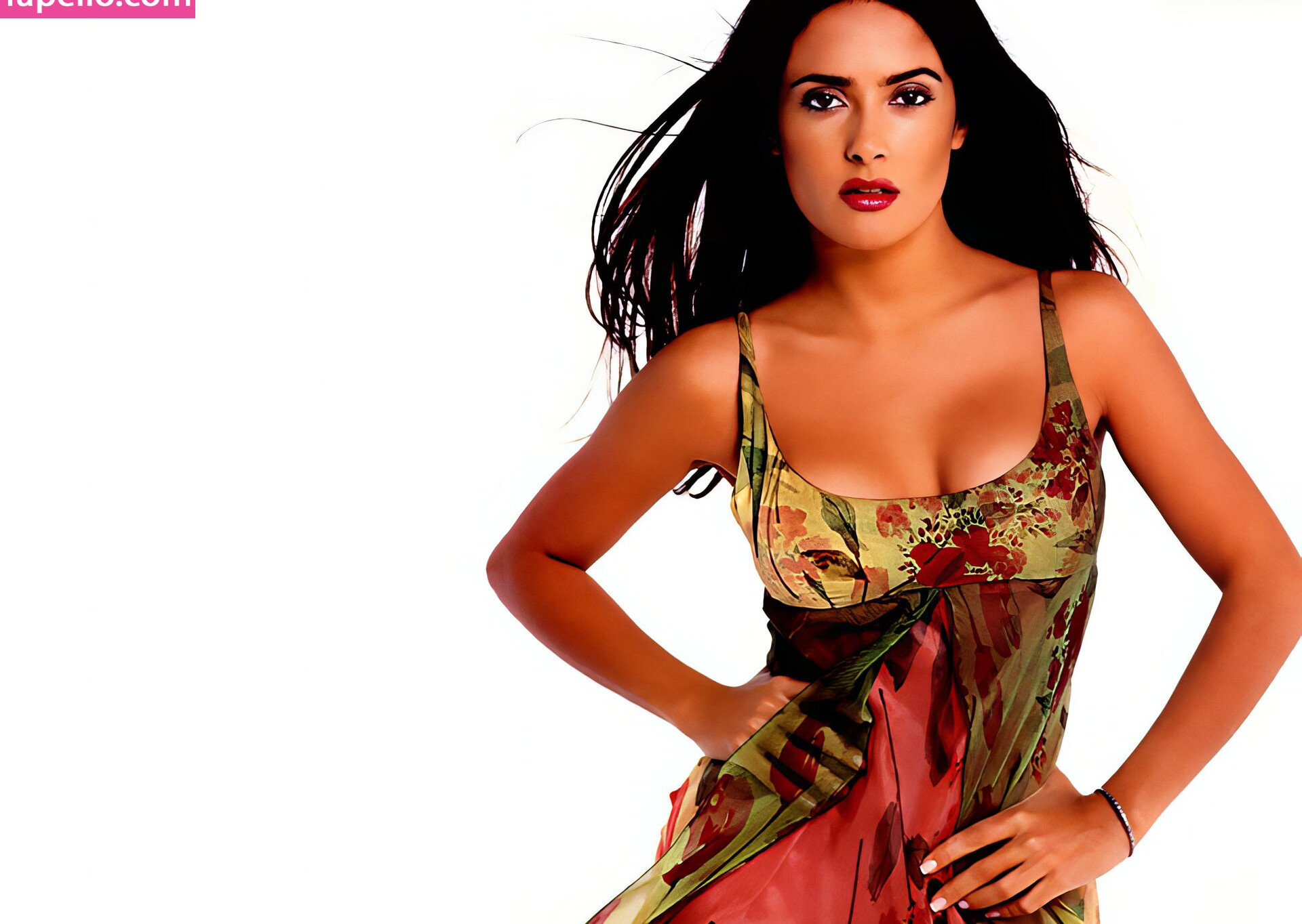 salma-hayek gallery photo #2136