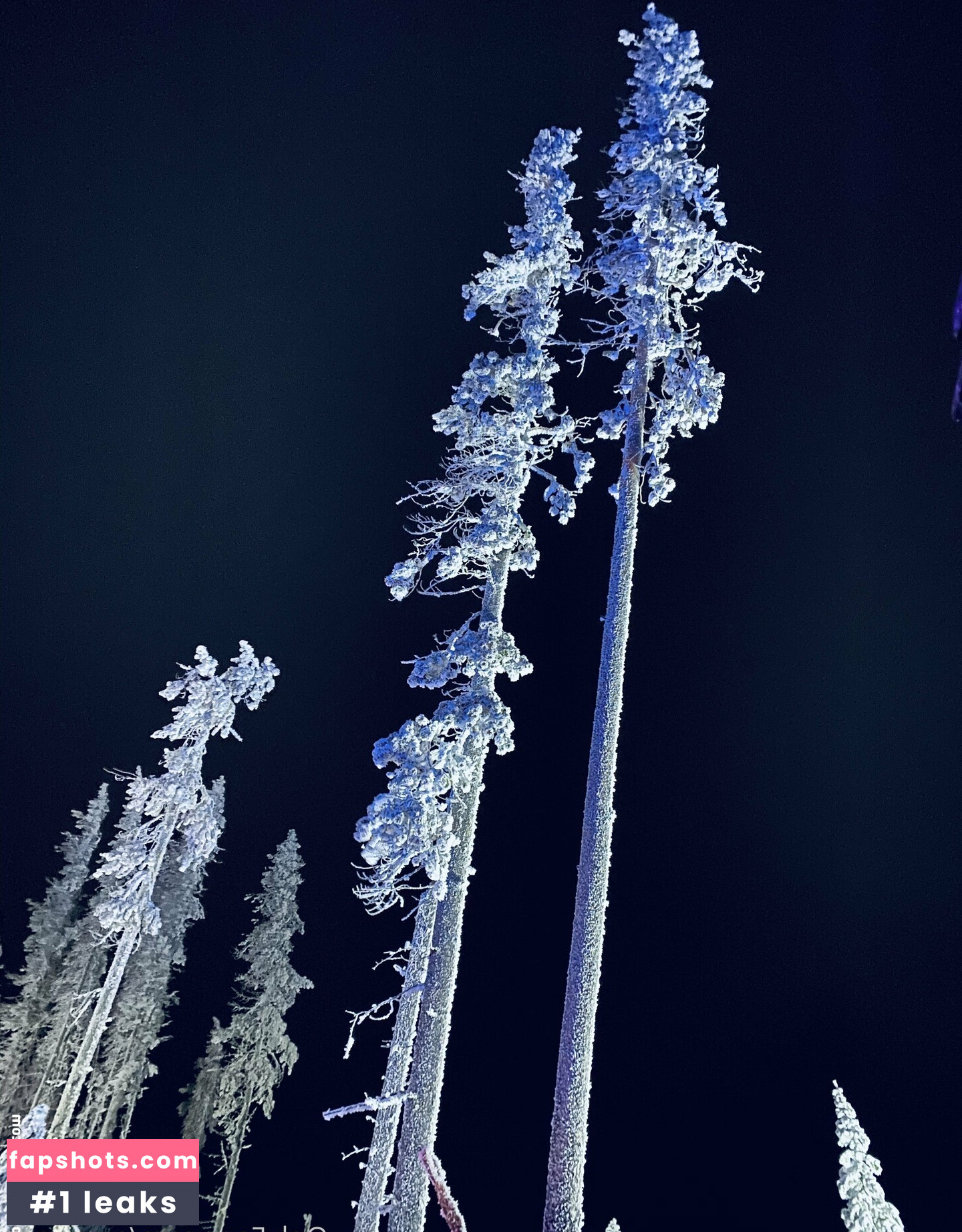 samisoah gallery photo #12