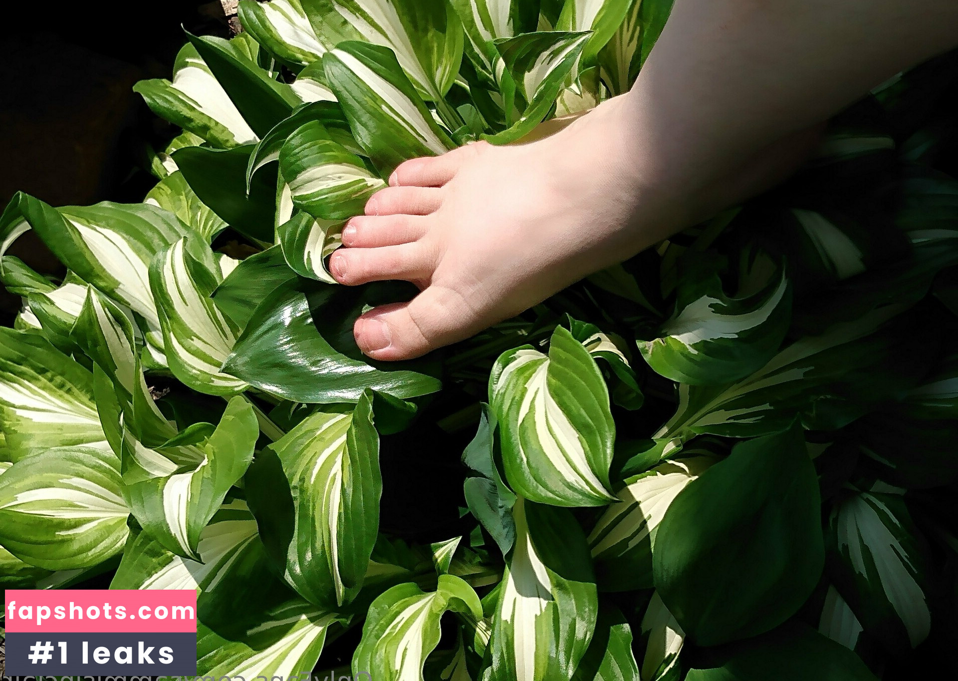 sammisinclair Nude Leaks OnlyFans Photos #25 - Fapshots