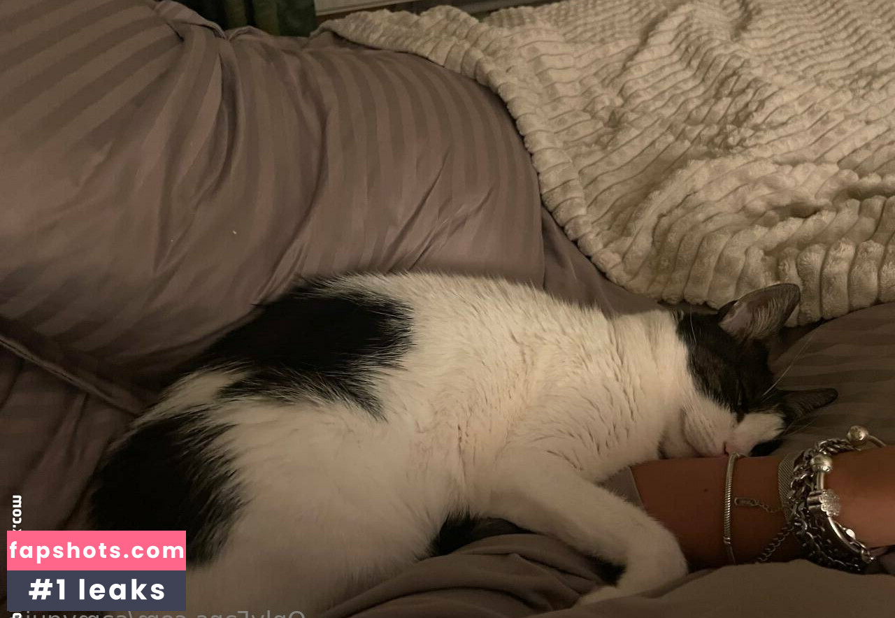 samyquin gallery photo #3