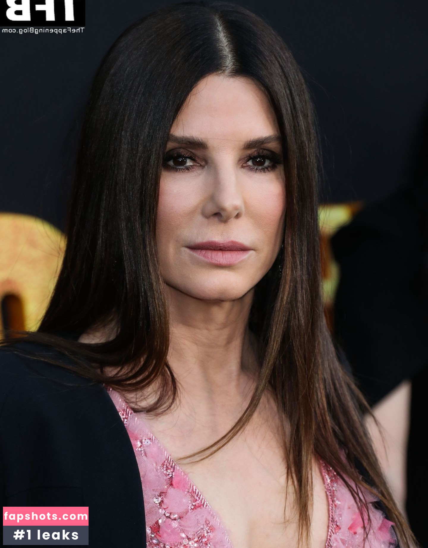 Sandra Bullock Nahé úniky fotek pouze od fanoušků #112 - Fapshots