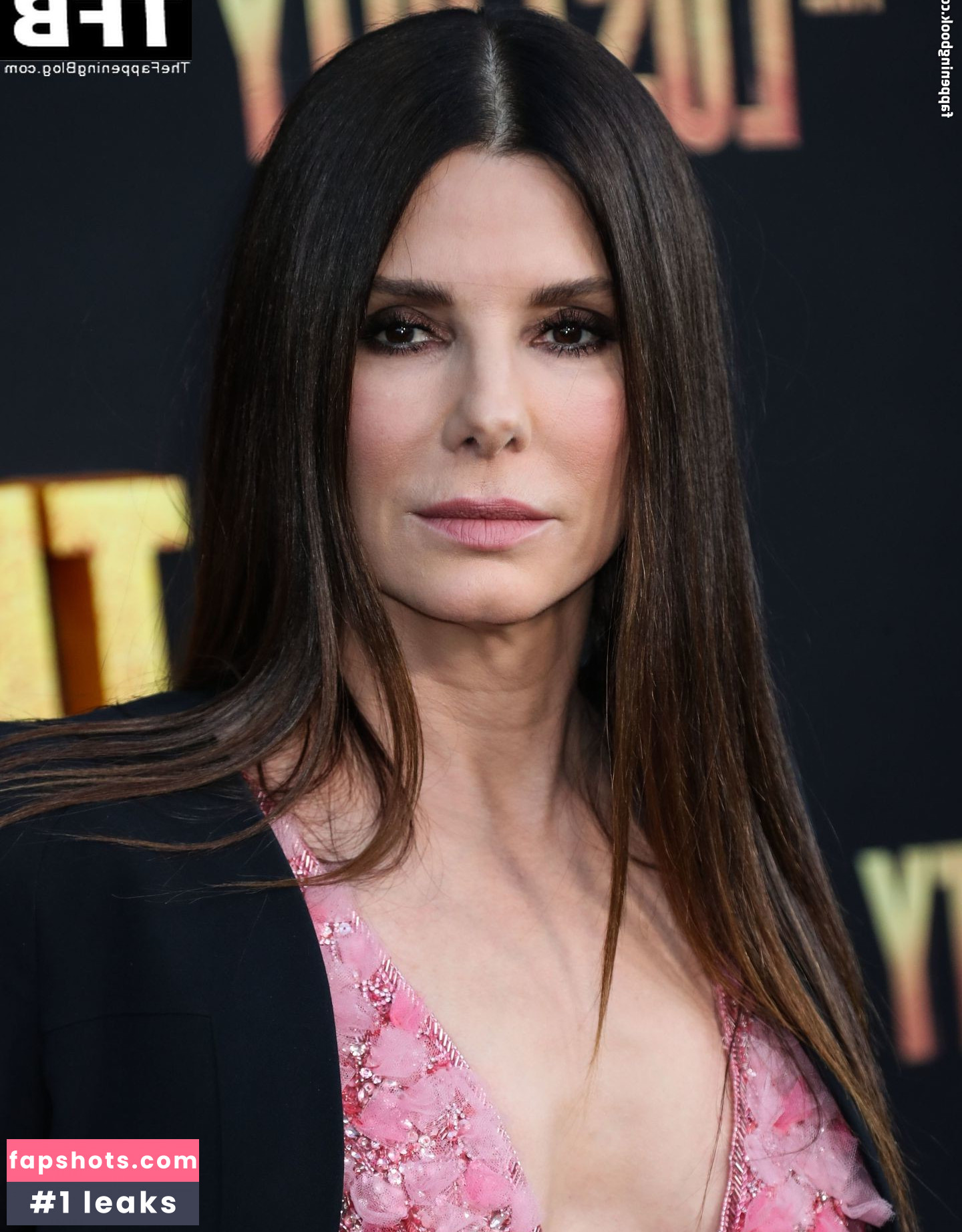 Sandra Bullock Nahé úniky fotek pouze od fanoušků #113 - Fapshots