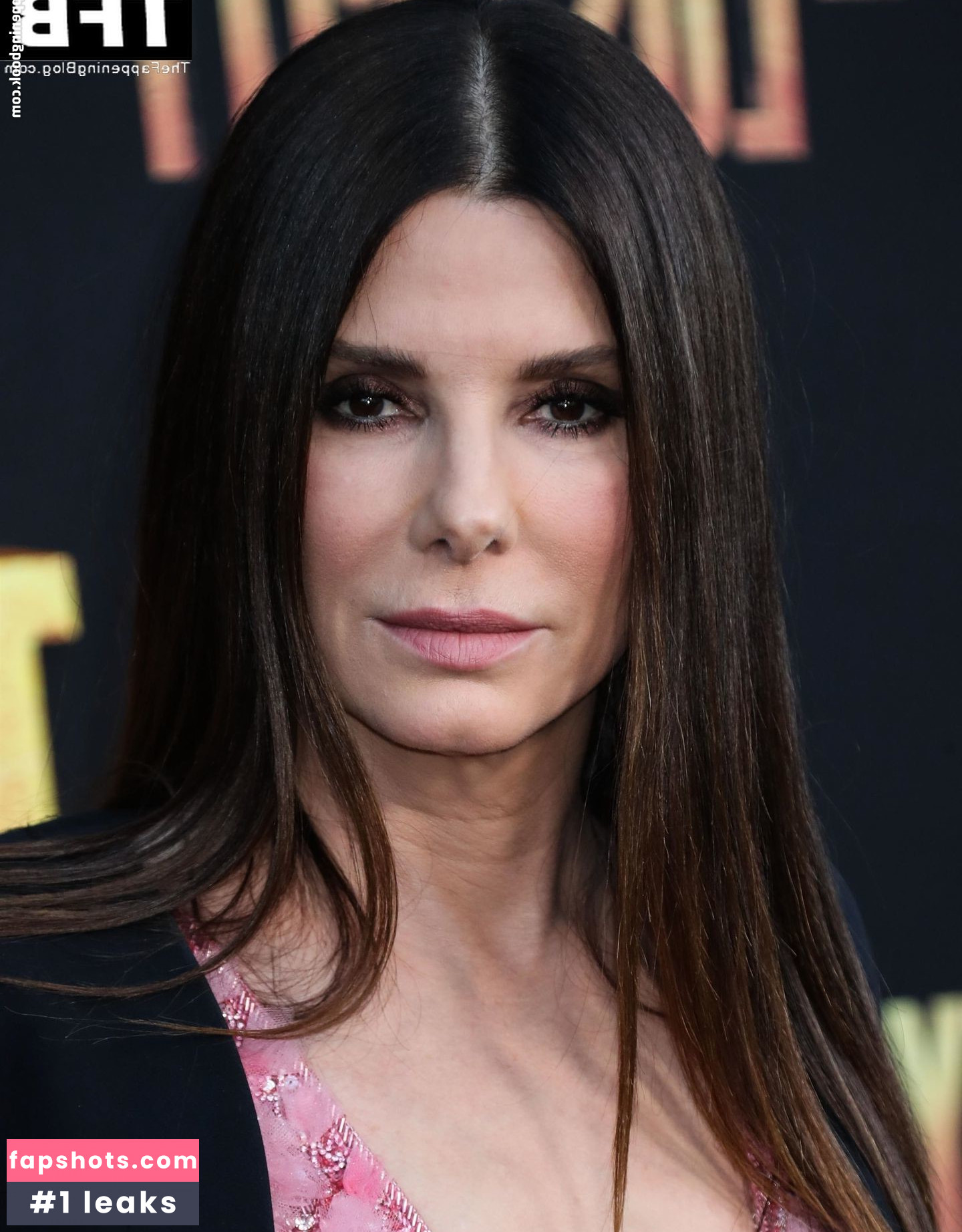 Sandra Bullock Nahé úniky fotek pouze od fanoušků #87 - Fapshots