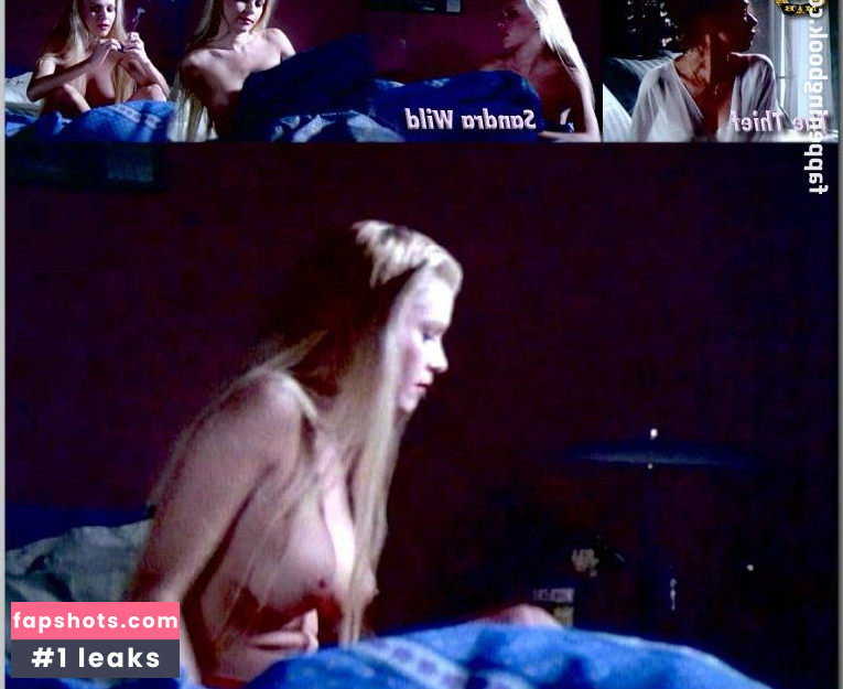 Sandra Wild Nahé úniky fotek pouze od fanoušků #25 - Fapshots