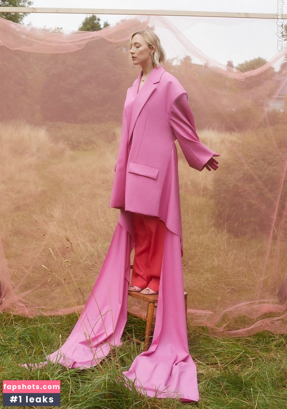 Saoirse Ronan Nahé úniky fotek pouze od fanoušků #98 - Fapshots