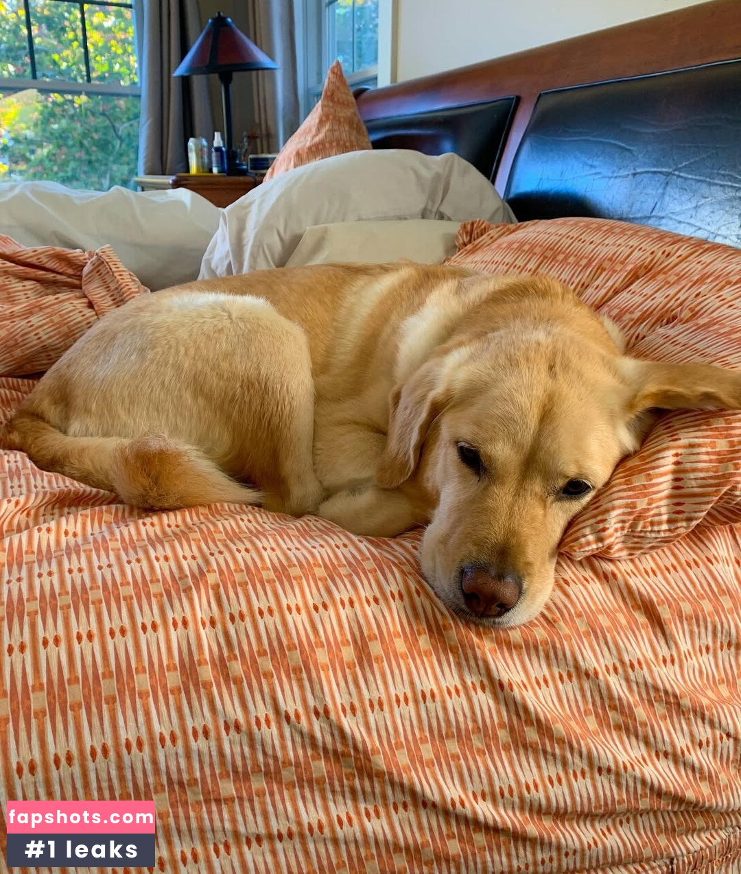 Sara Gavagan gallery photo #21