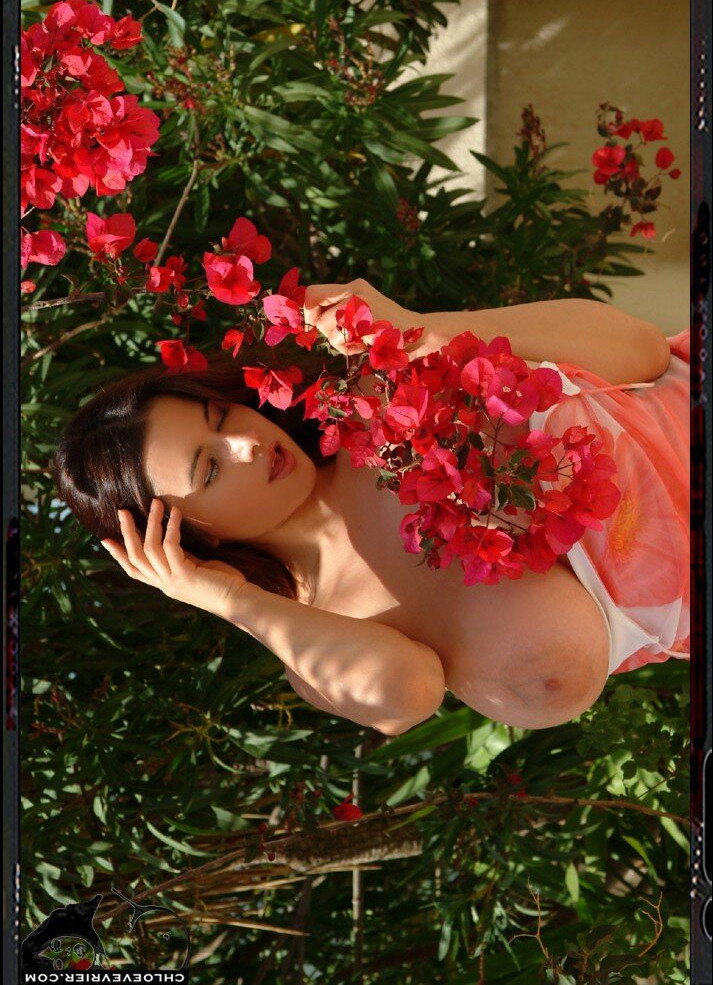 sara-jay-1 gallery photo #7215