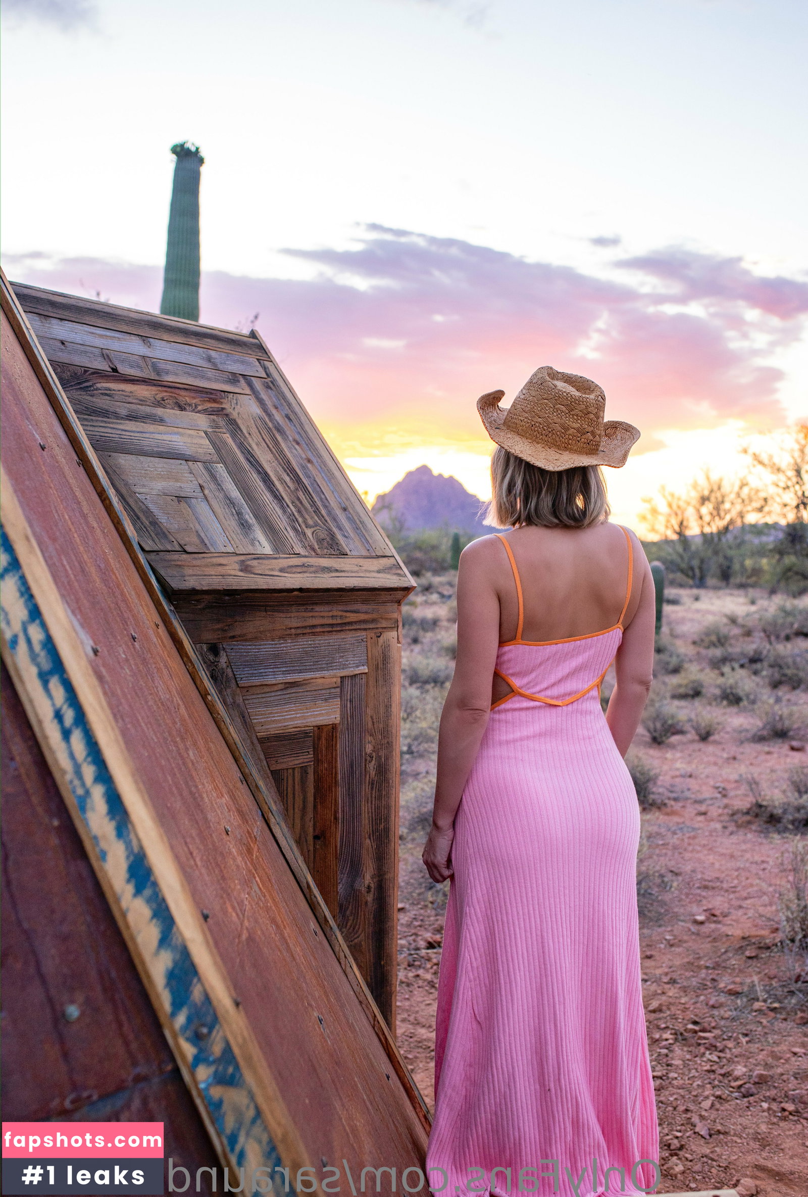 Sara Jean Underwood gallery photo #80