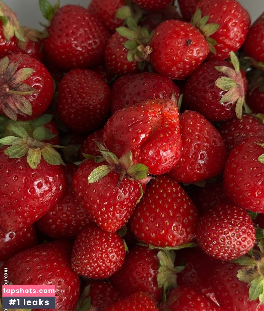 Sara Manner gallery photo #9