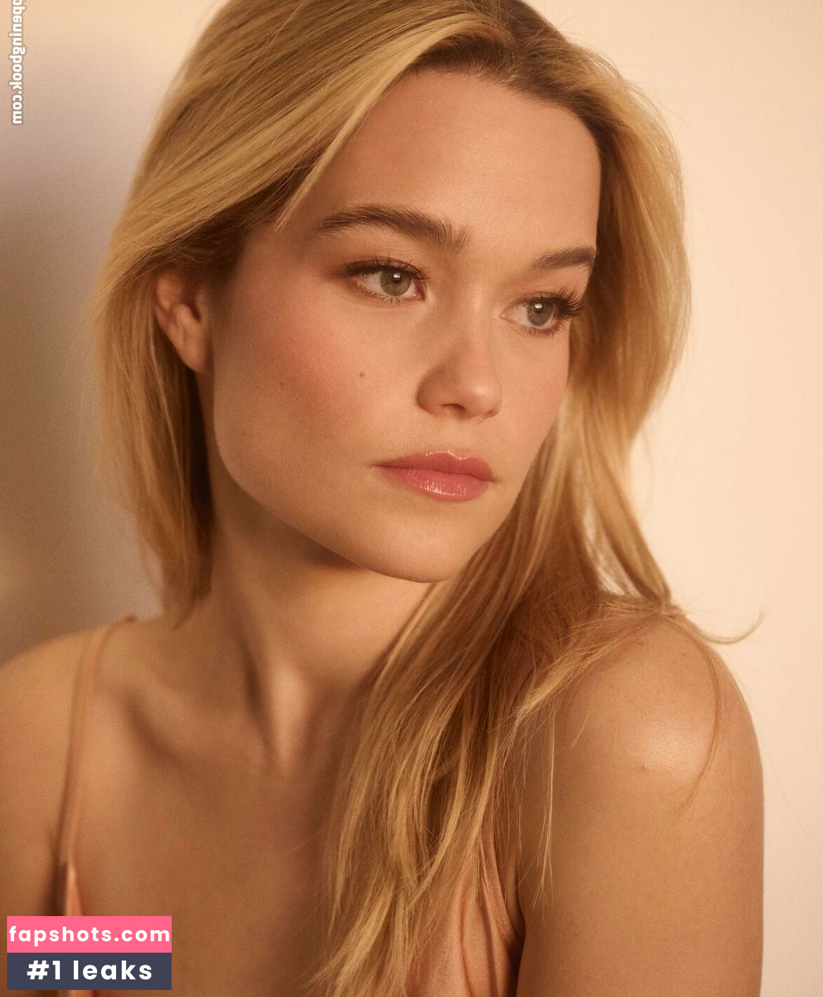 Sarah Catherine Hook gallery photo #20