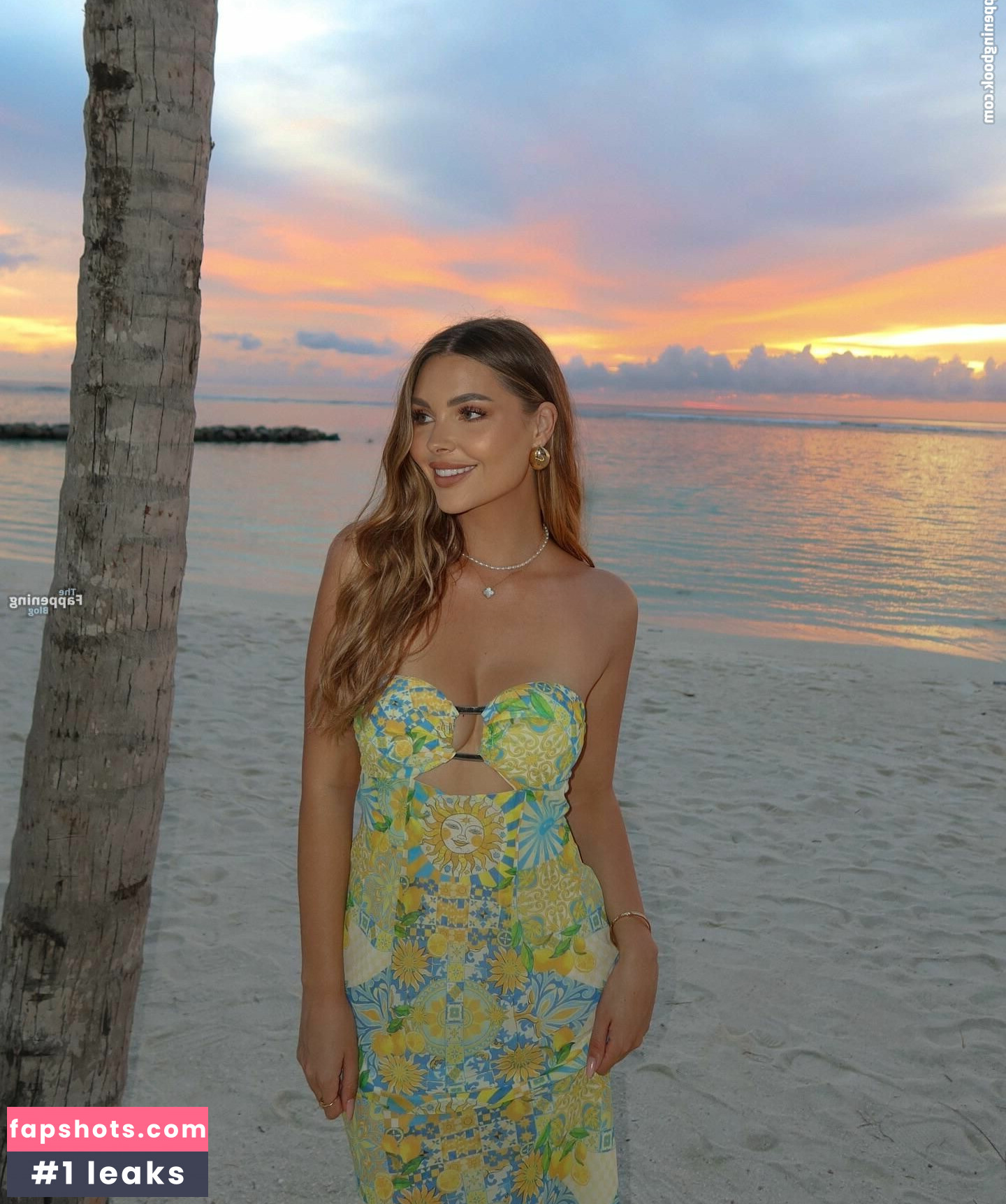 Sarah Harris gallery photo #8