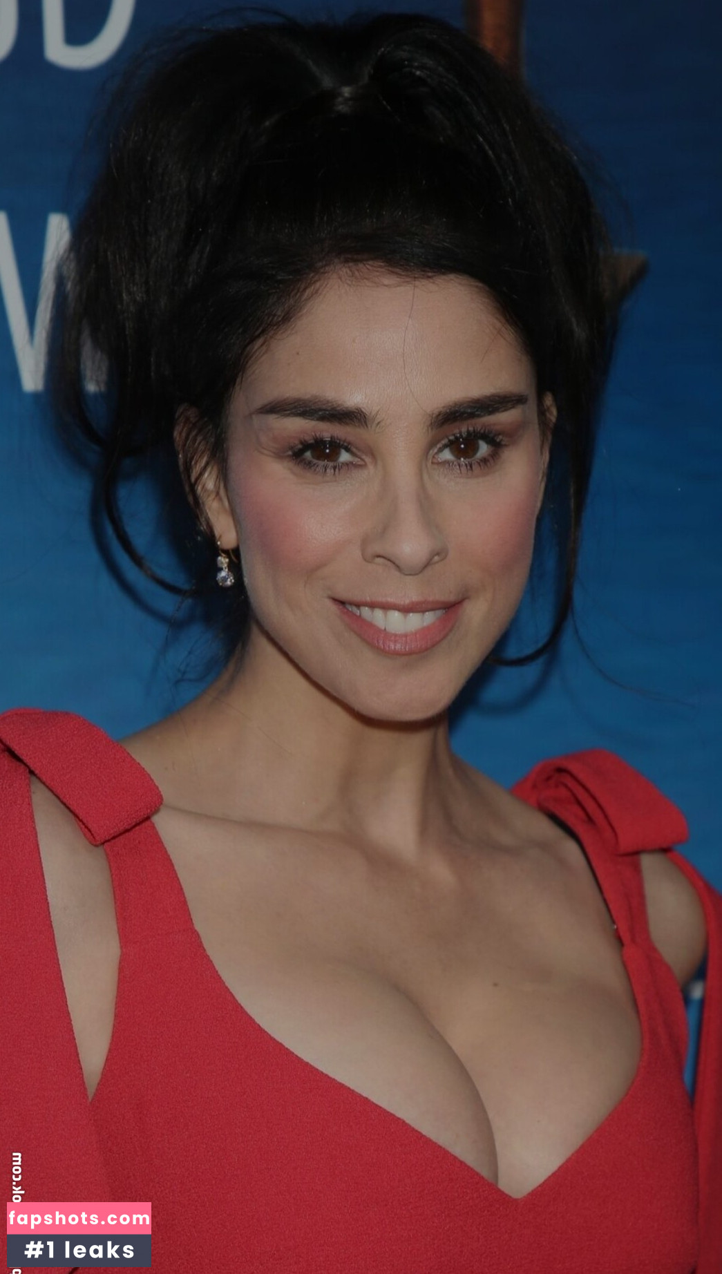 Sarah Silverman Nahé úniky fotek pouze od fanoušků #16 - Fapshots