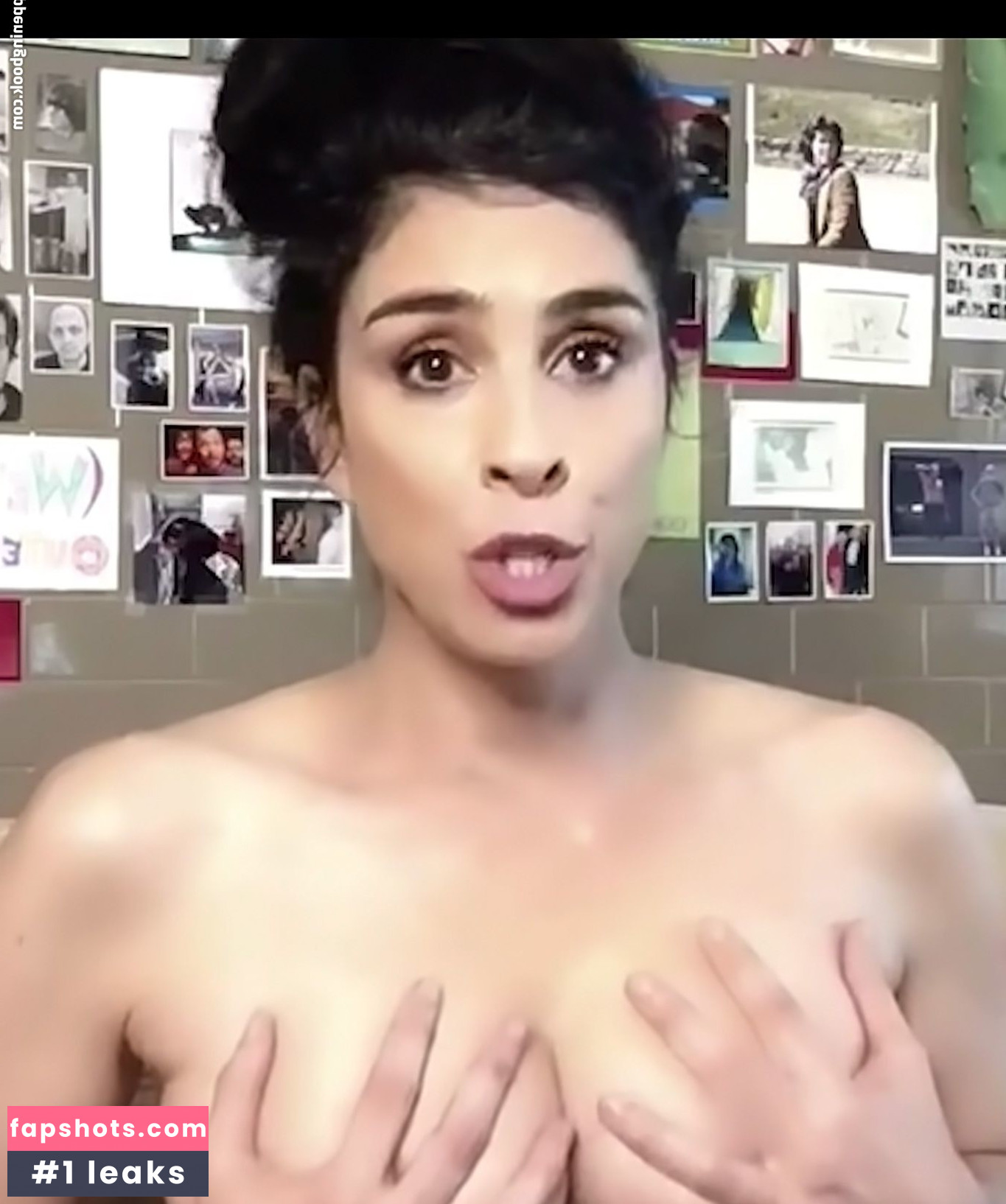 Sarah Silverman Filtración Desnuda OnlyFans Foto #248 - Fapshots