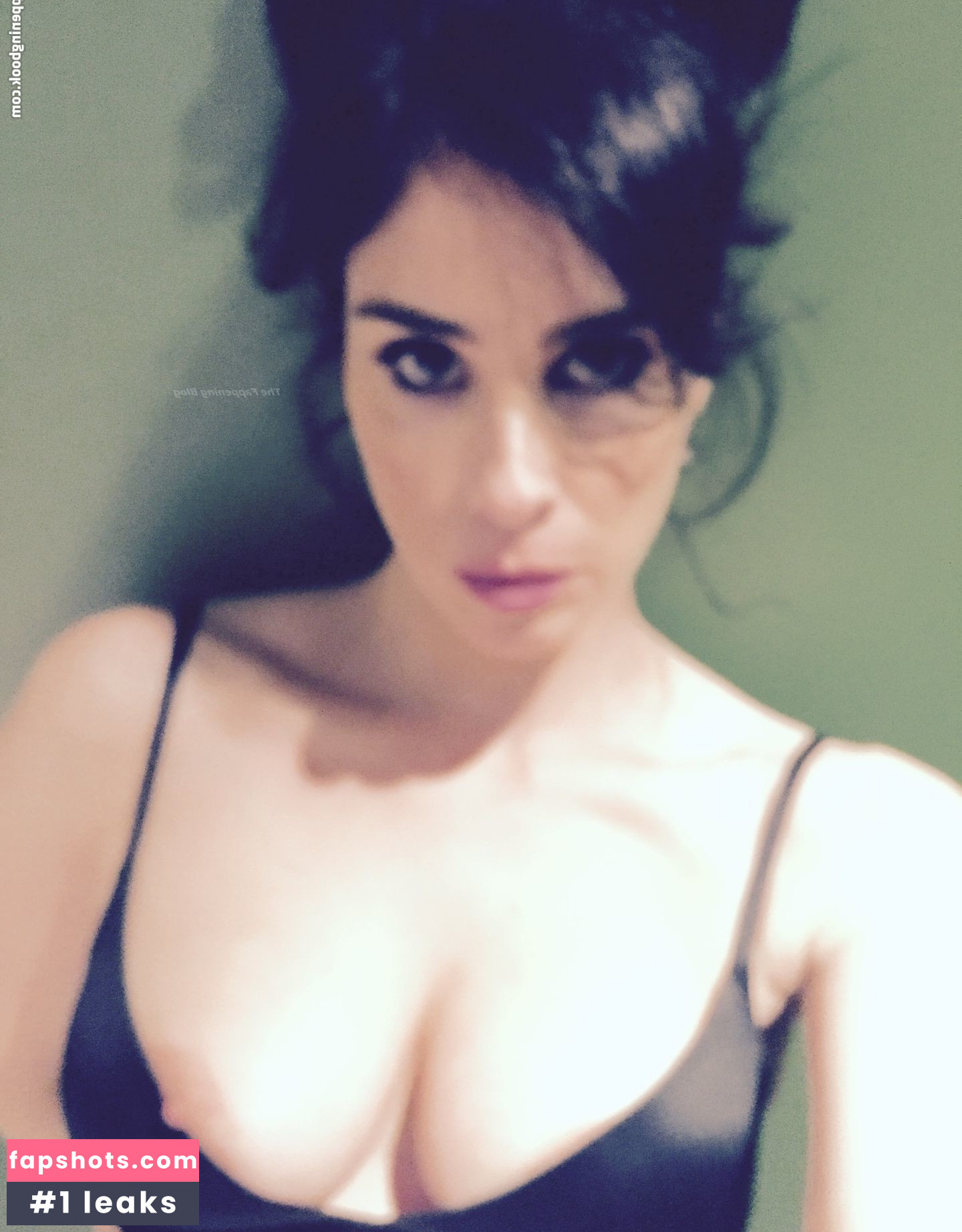 Sarah Silverman gallery photo #254